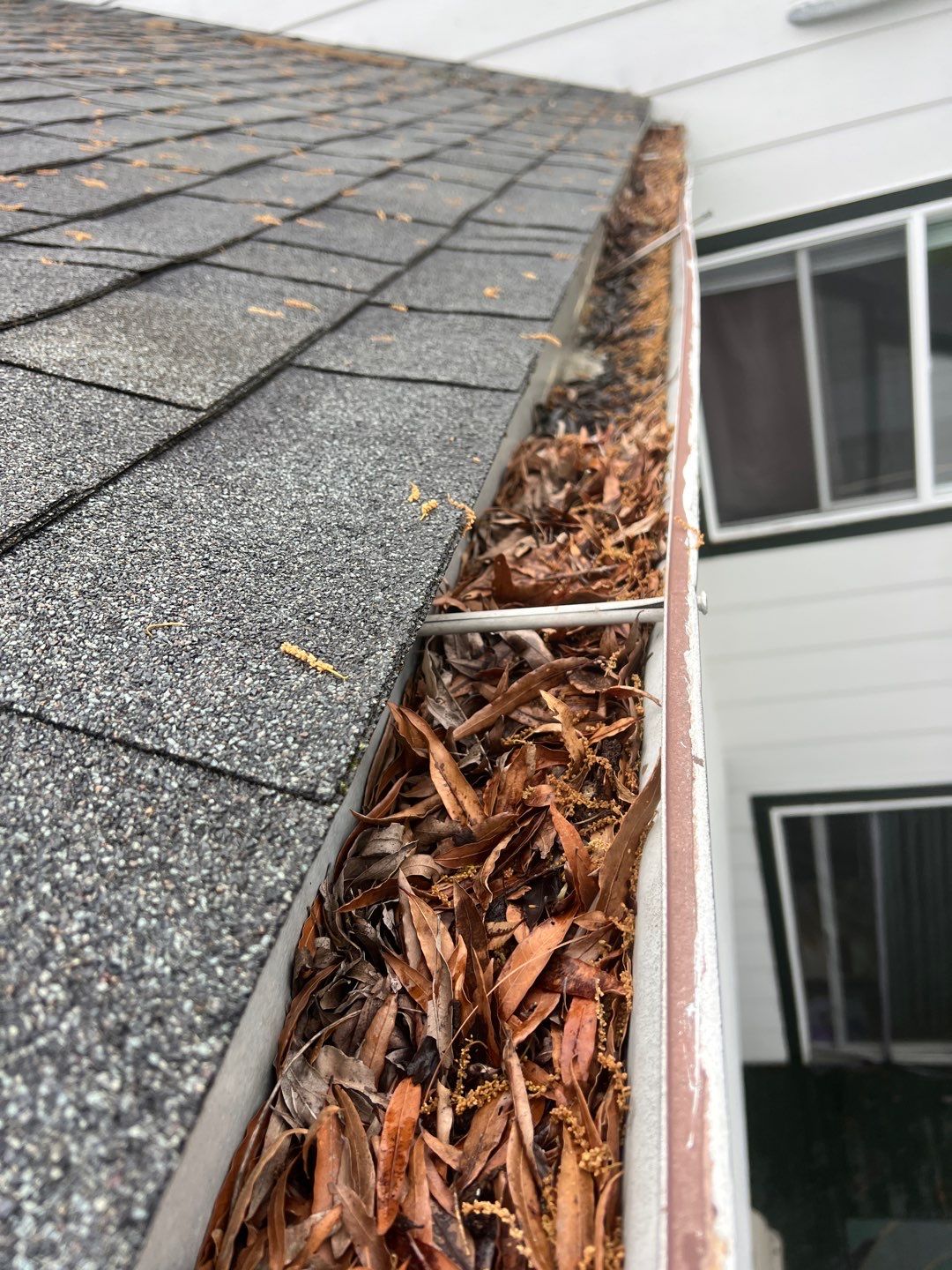 Commercial gutter cleaning Lexington before photo with filled gutters