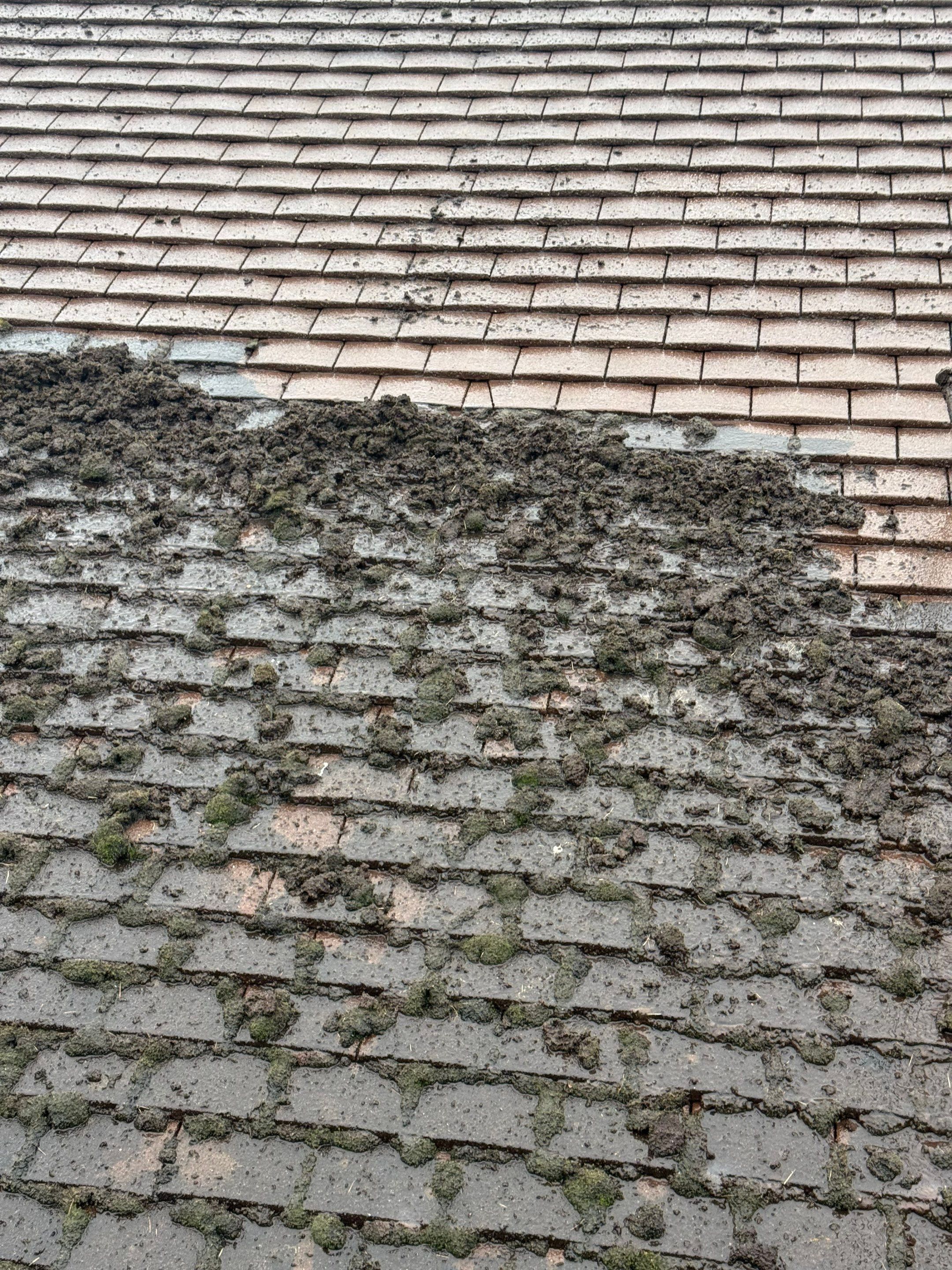Roof Cleaning Kingswood by Ges Exterior Cleaning ltd