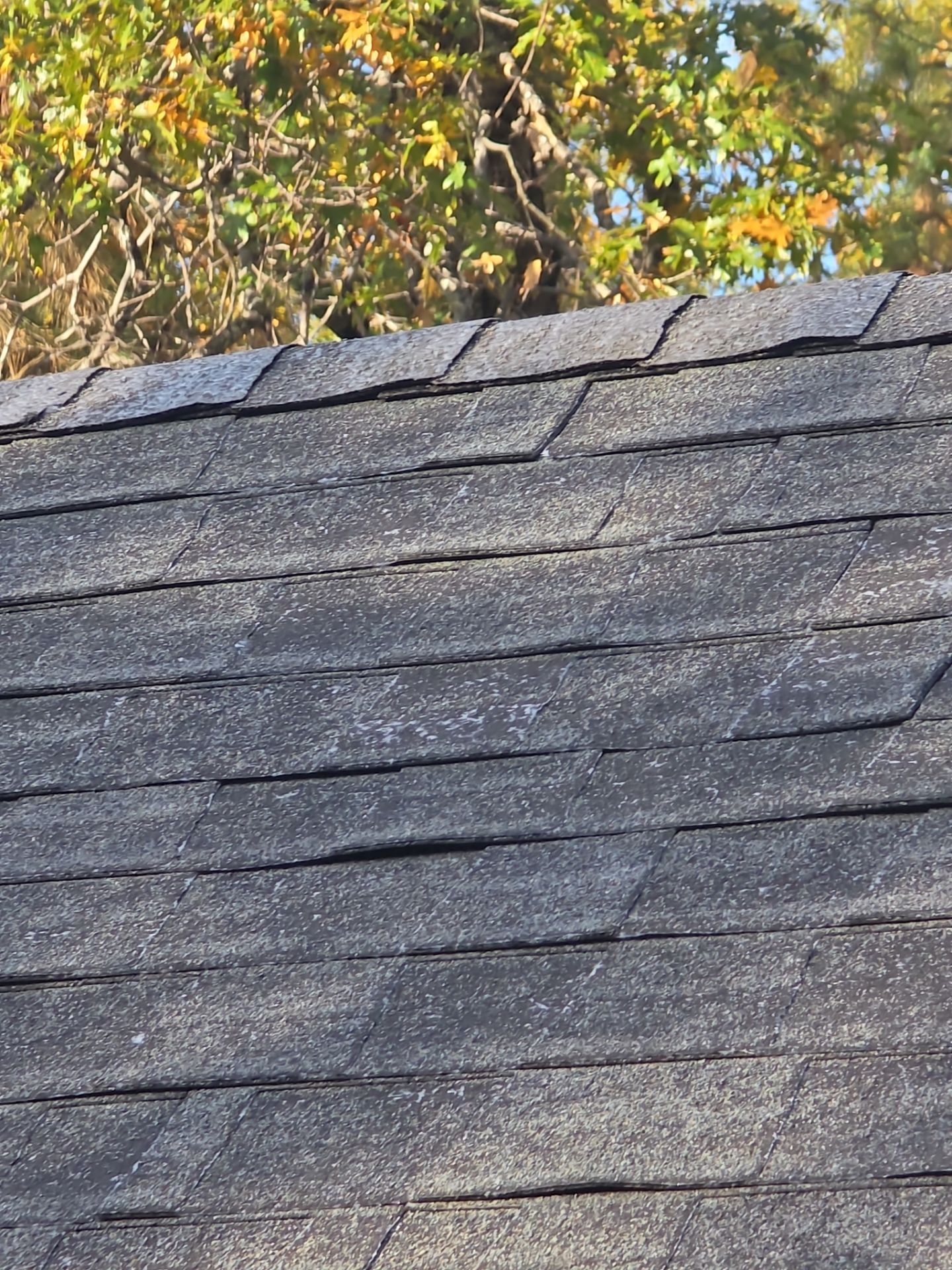 Roof Rejuvenation using Roof Maxx Treatment by Roof Maxx of Folsom