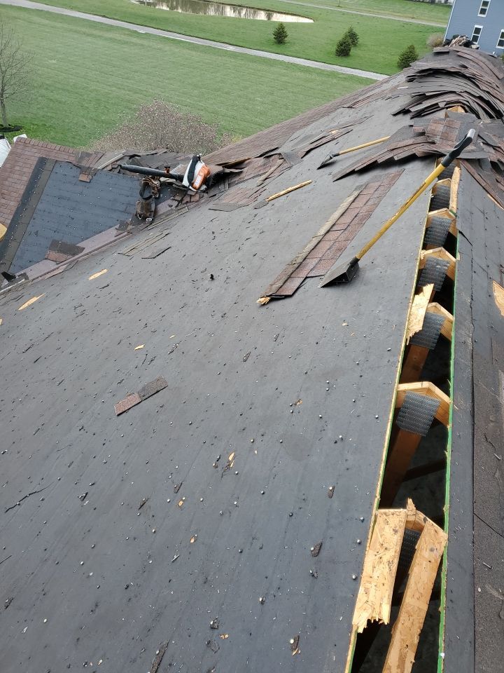 Kitchen Paint City, OH by 614 Exteriors