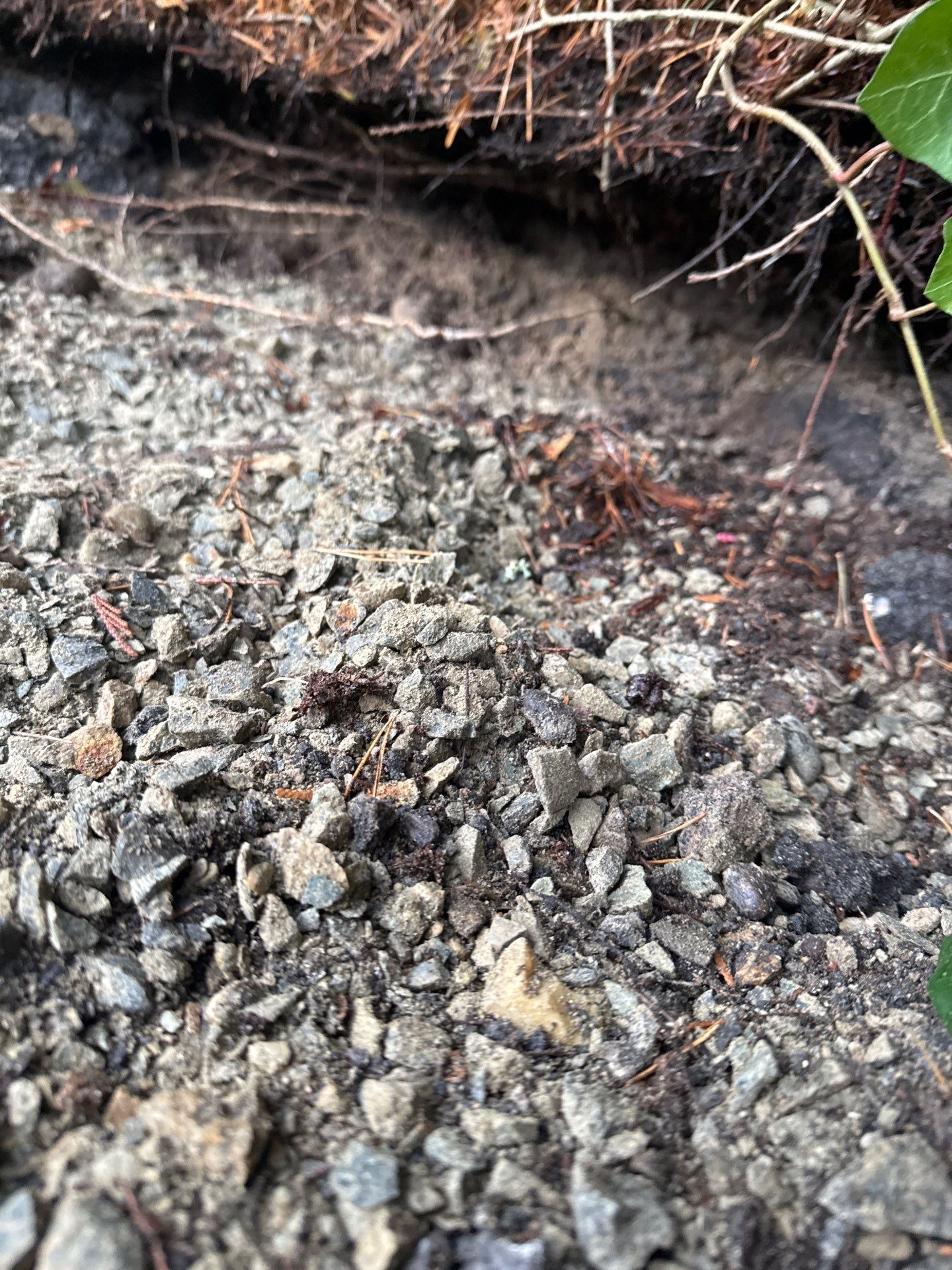 Asphalt Patch Repair | Bellevue  by Jireh Asphalt & Concrete Inc 