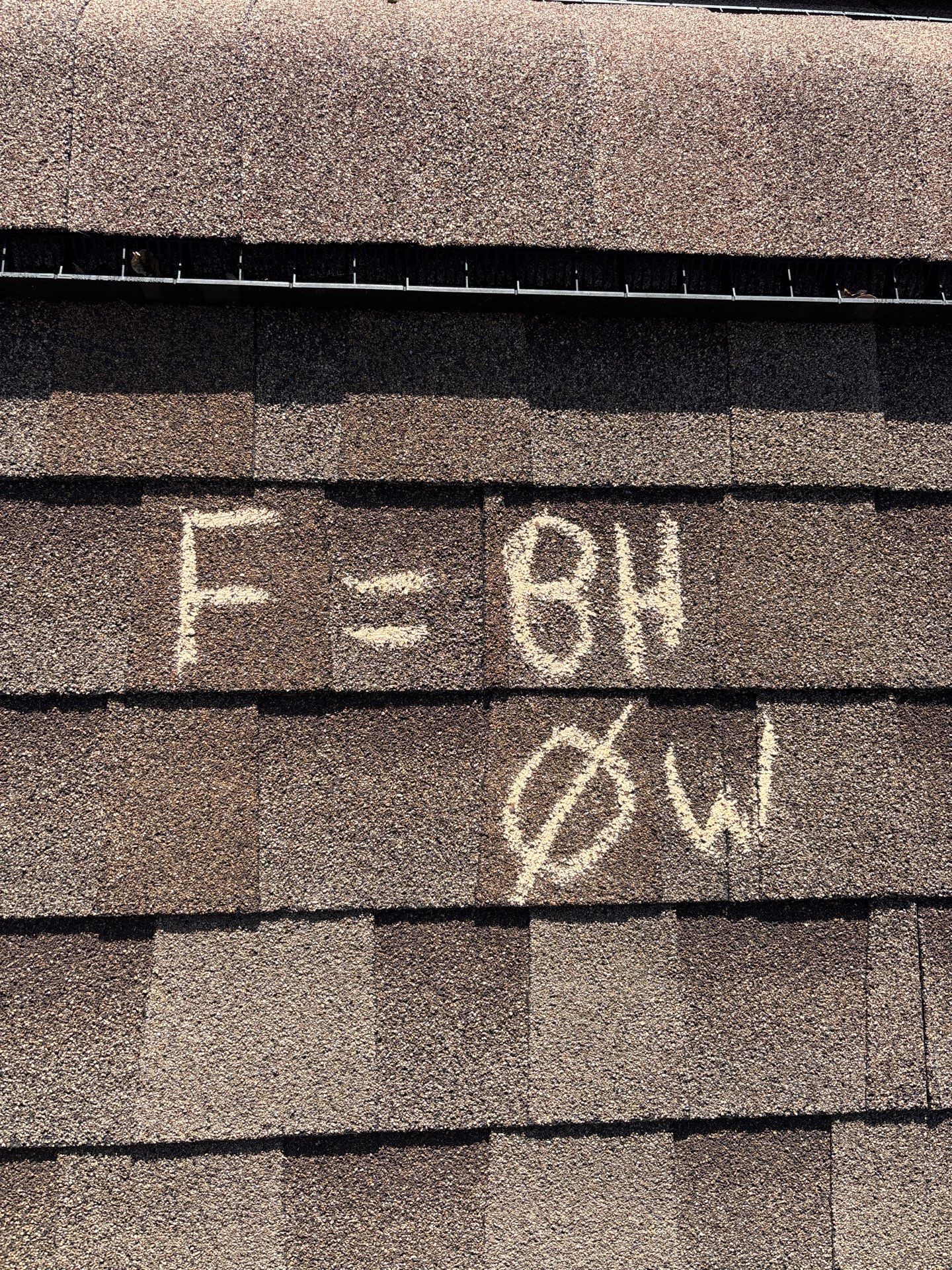 Nicole S by Boss Hogg Roofing