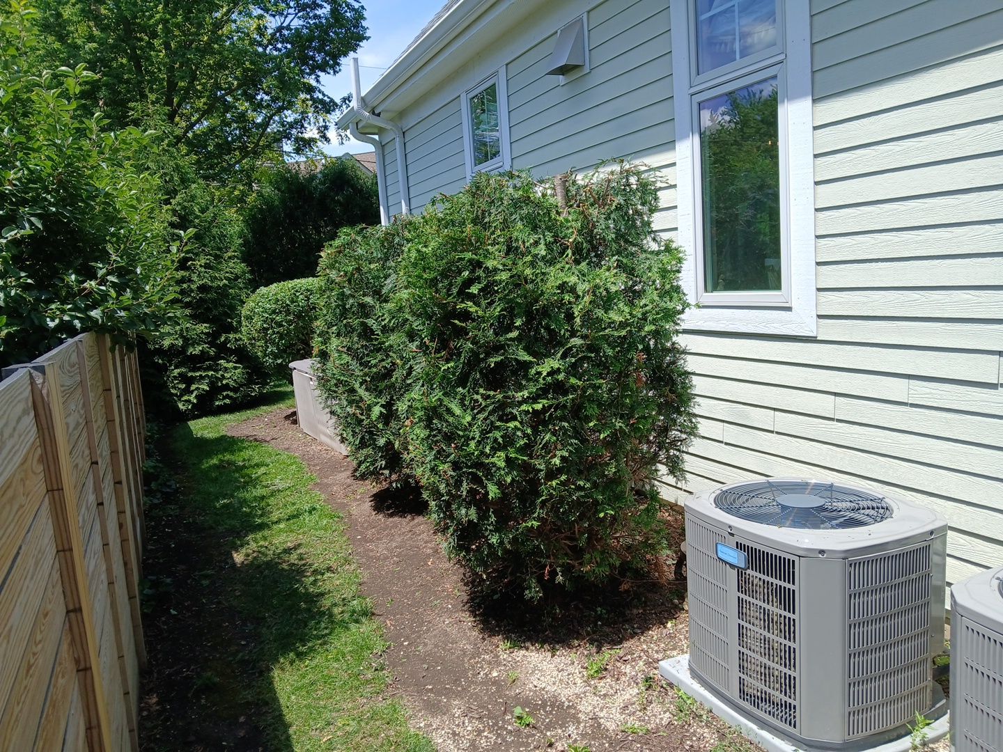 Lisa C. - Arlington Heights, IL by A&N