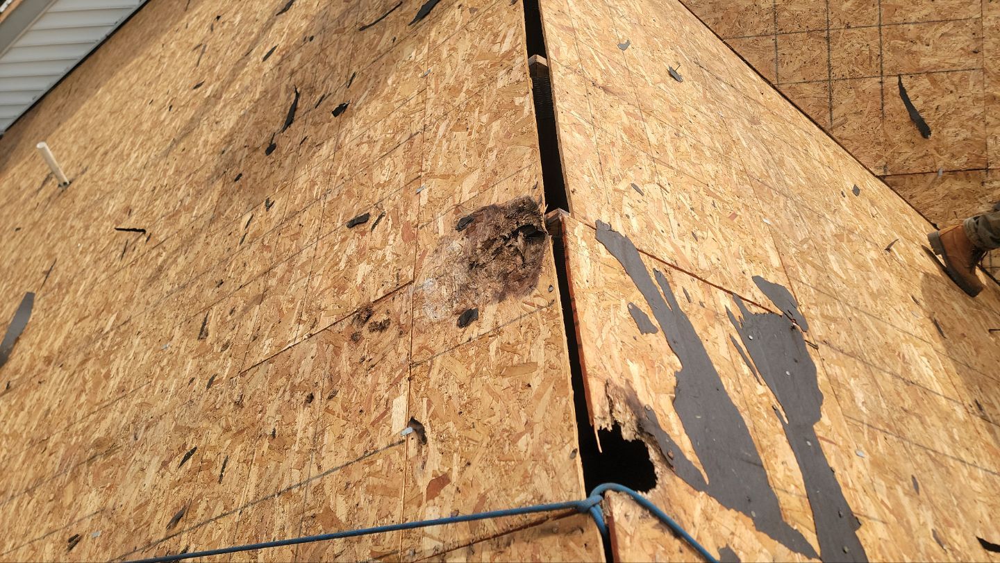 Roof Installation using GAF Timberline HDZ by ExteriorPros