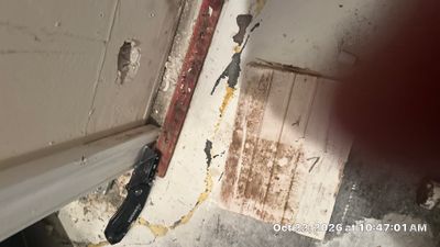 Water Damage Restoration — Fort Myers, FL