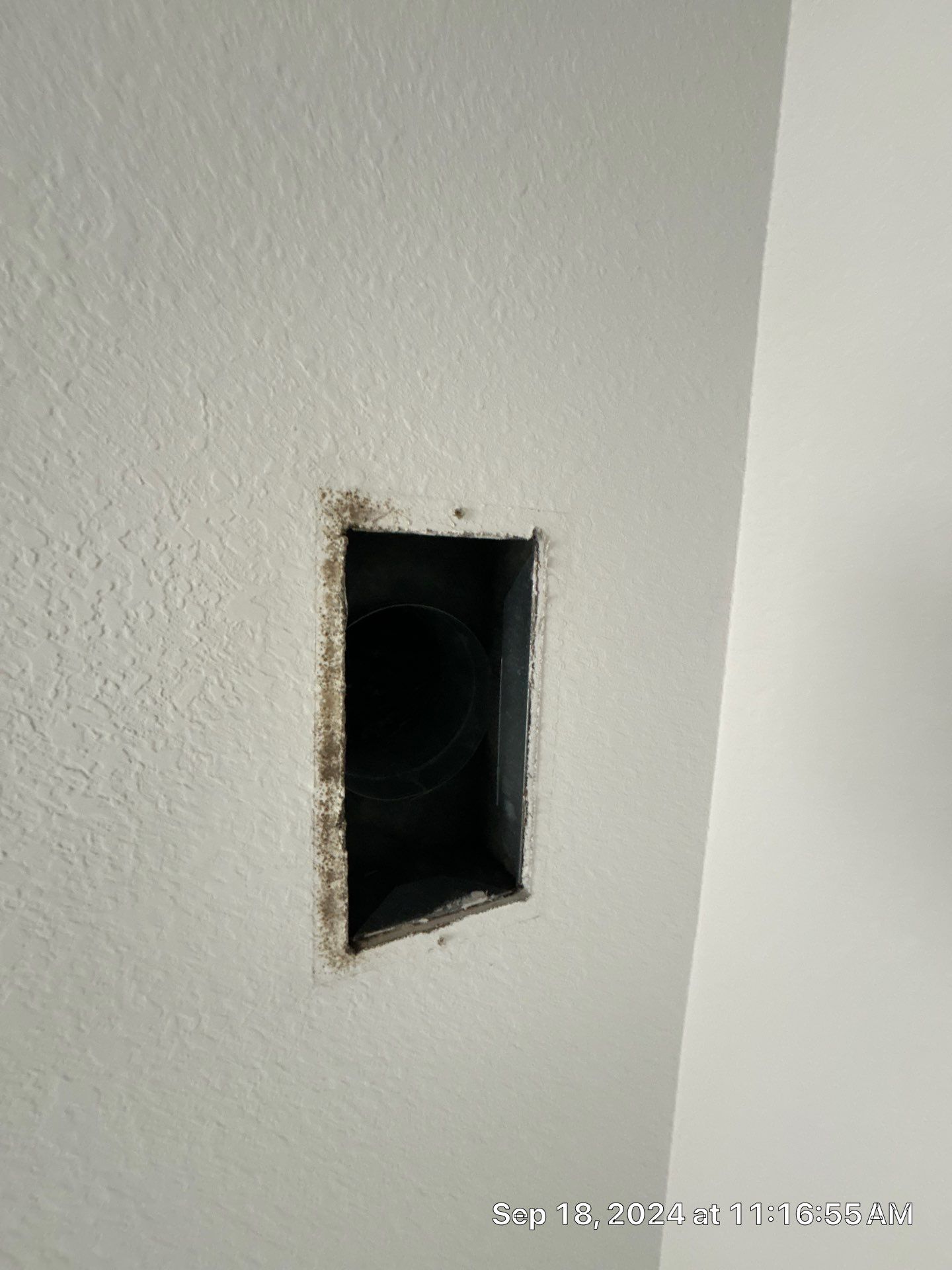 Nokomis Mold Remediation by Ampm Restoration Services