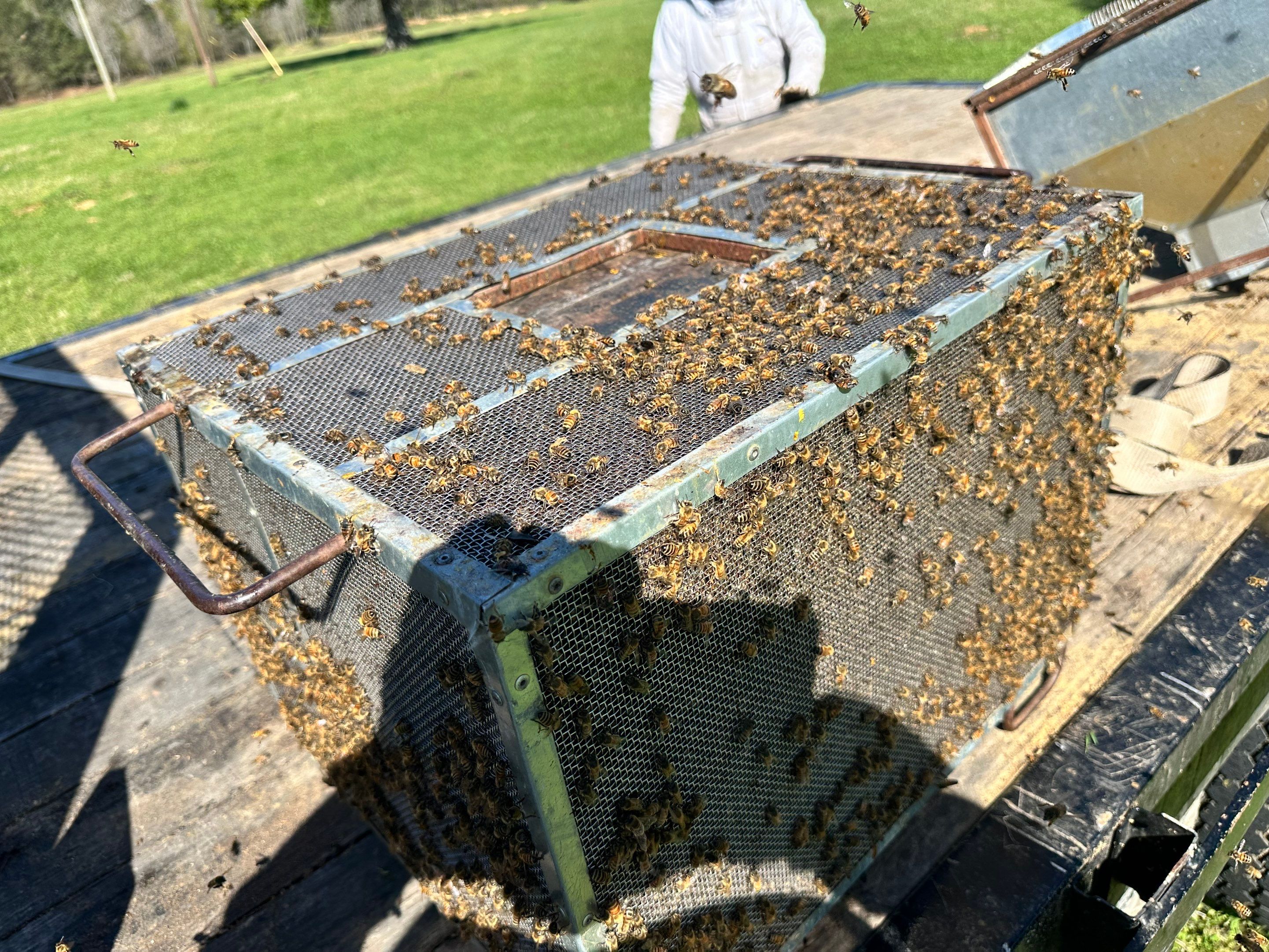 Peanut Farm Apiary by Rockwall Honey Bee Company