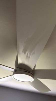 Ceiling Leak Repair — Naples, FL