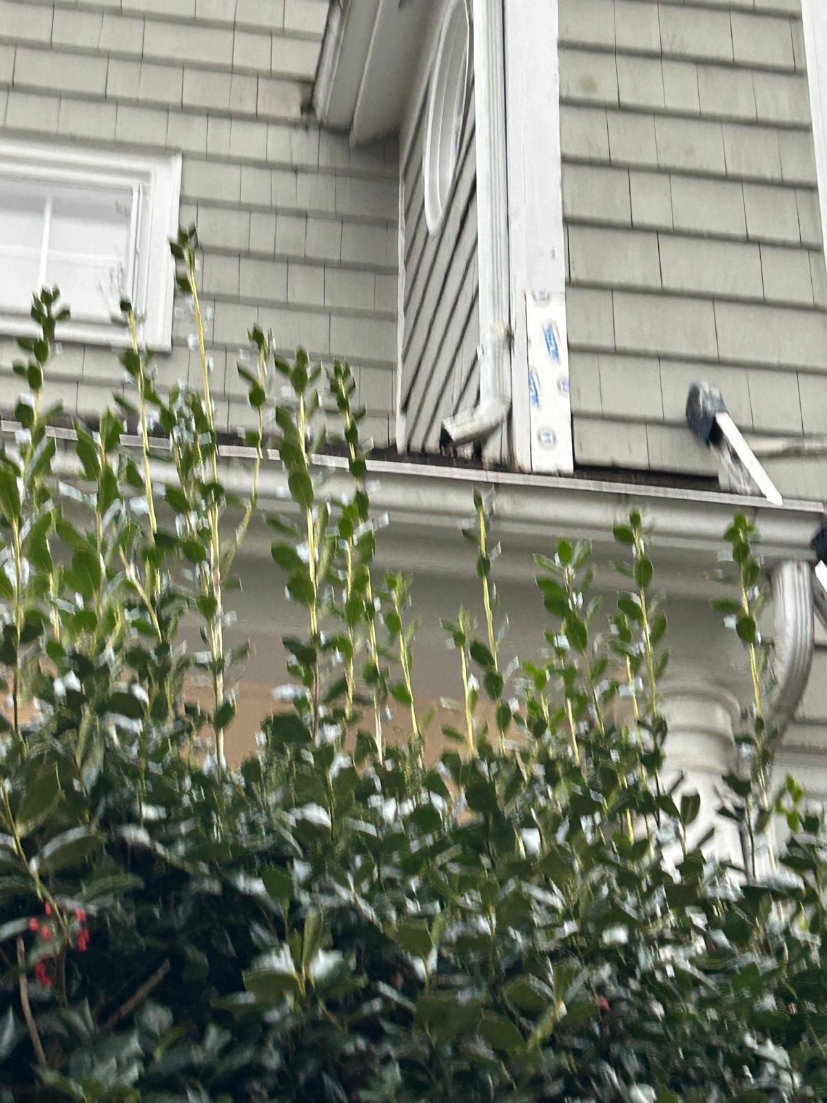 Reston :  Residential Roof Replacement with Brava Synthetic Cedar Shake Class C Natural  by RM Banning, Inc.