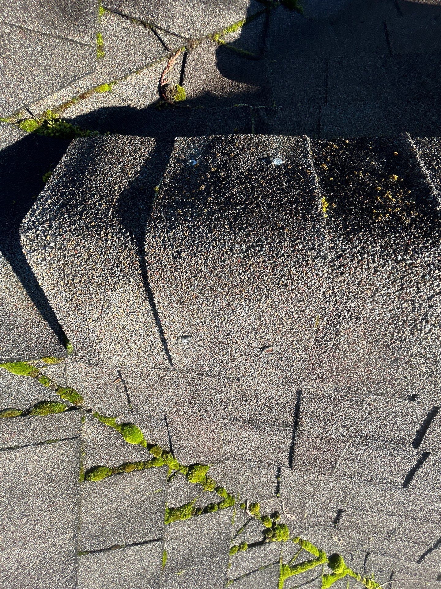 Project in Mount Vernon by Connolly Construction Company