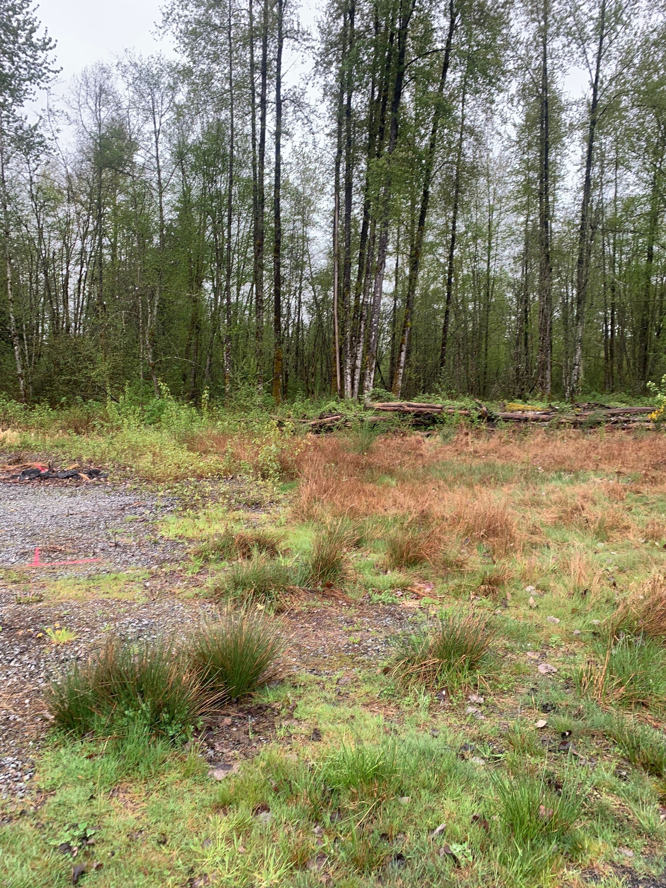 Monolithic Concrete Slab Foundation | Lake Stevens by Jireh Asphalt & Concrete Inc 