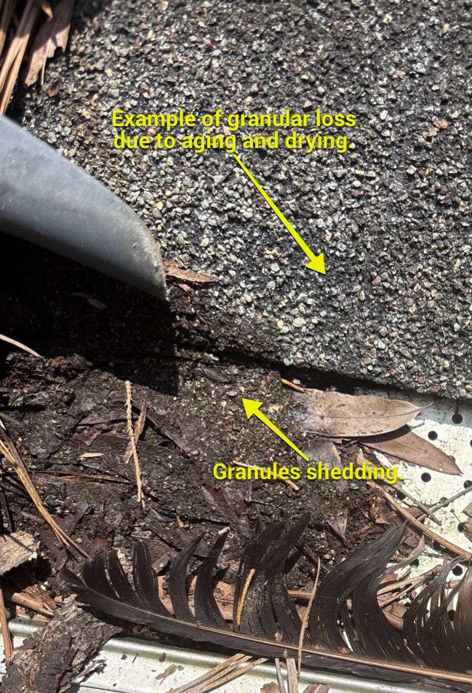 Project in Richmond by Roof Maxx of Midlothian