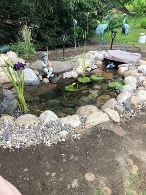 Small Pond For Our Neighbors in South Deerfield