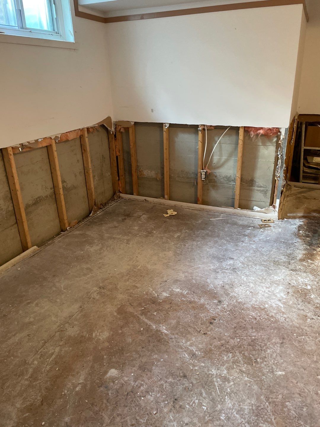 First response - water damage by Eco-Nature Construction Inc.