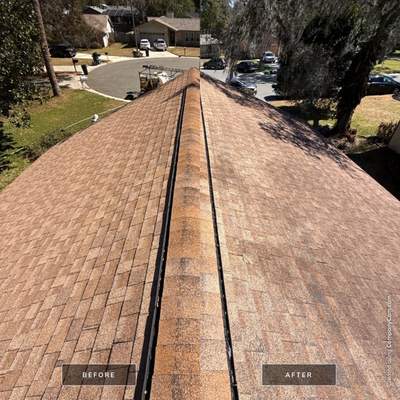 Shingle Roof Cleaning