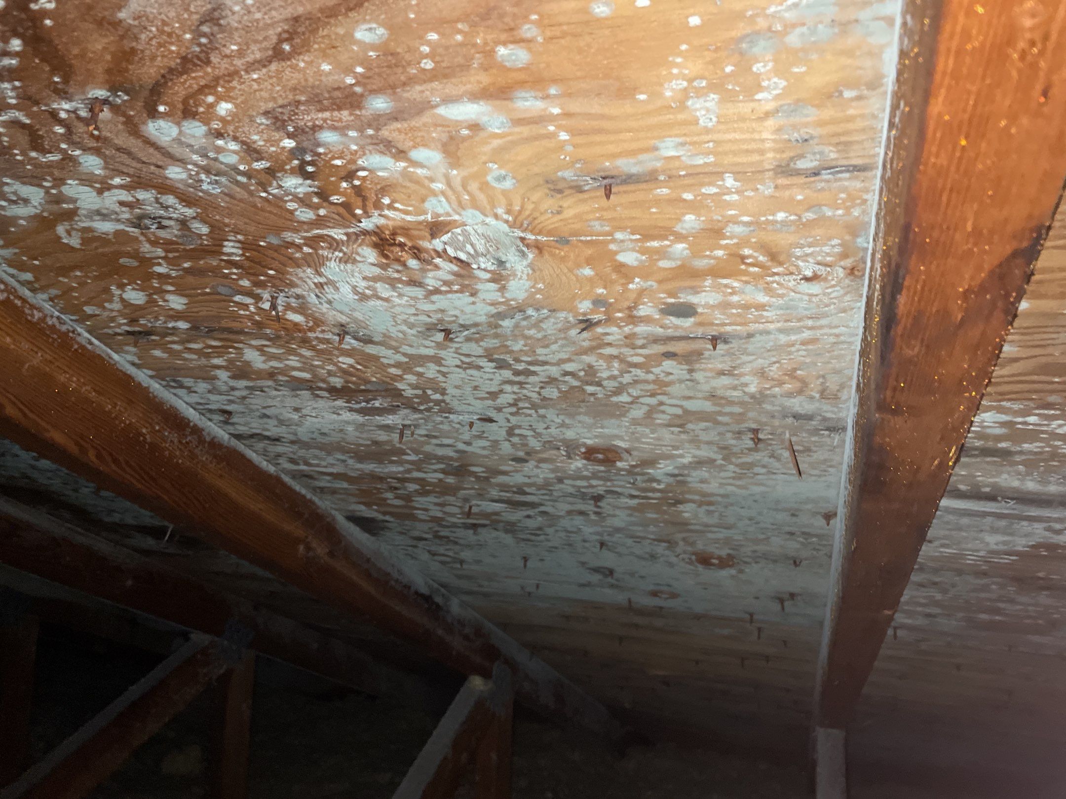 Siding Replacement using CertainTeed Landmark by 180 Contractors