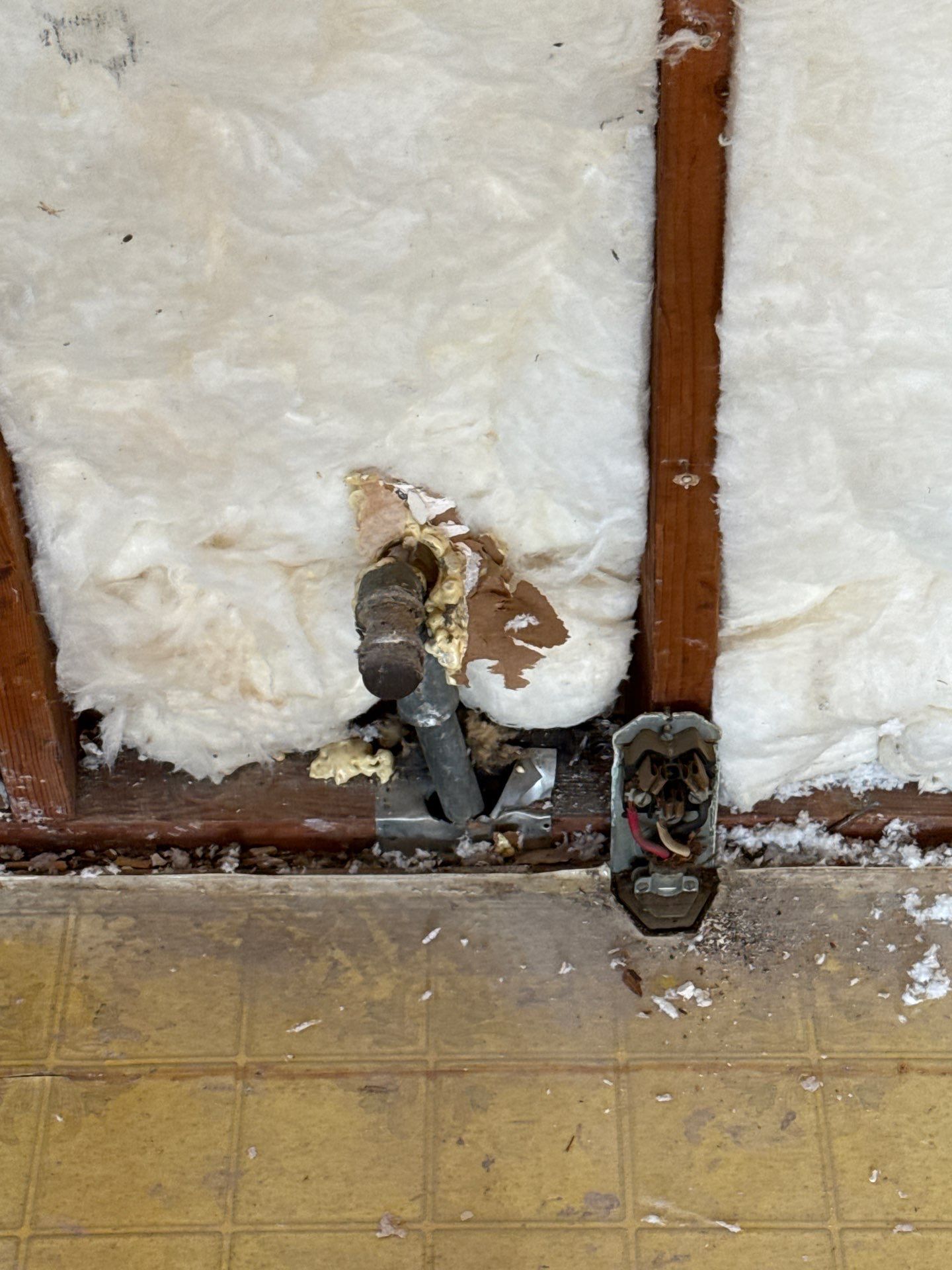 Polished & Swift: Full Home Transformation by Tibi Soli LLC