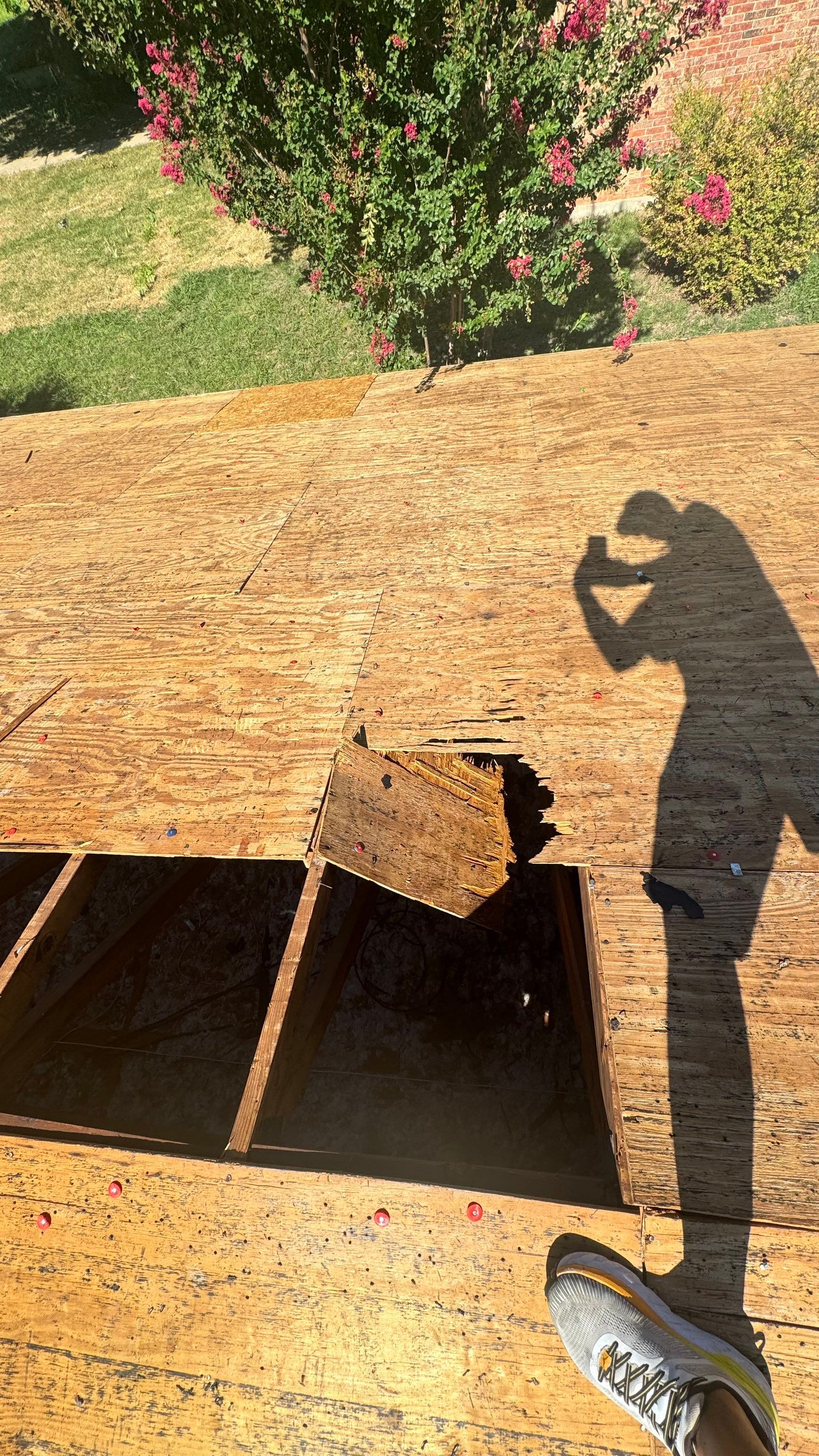 Project in Garland by Rhino Roofing and General Contracting, LLC