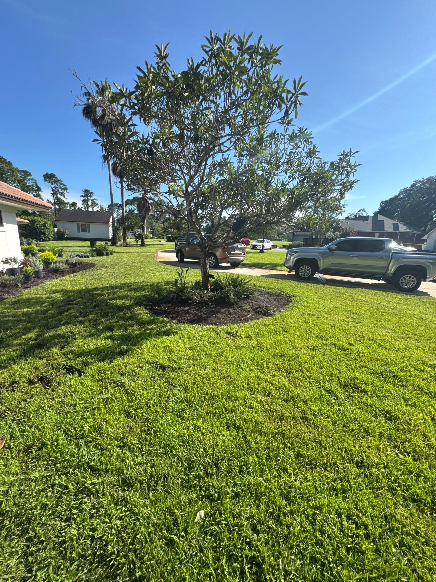 Deerwood Resident | Bed Design & Upgrade by ProGreen Services