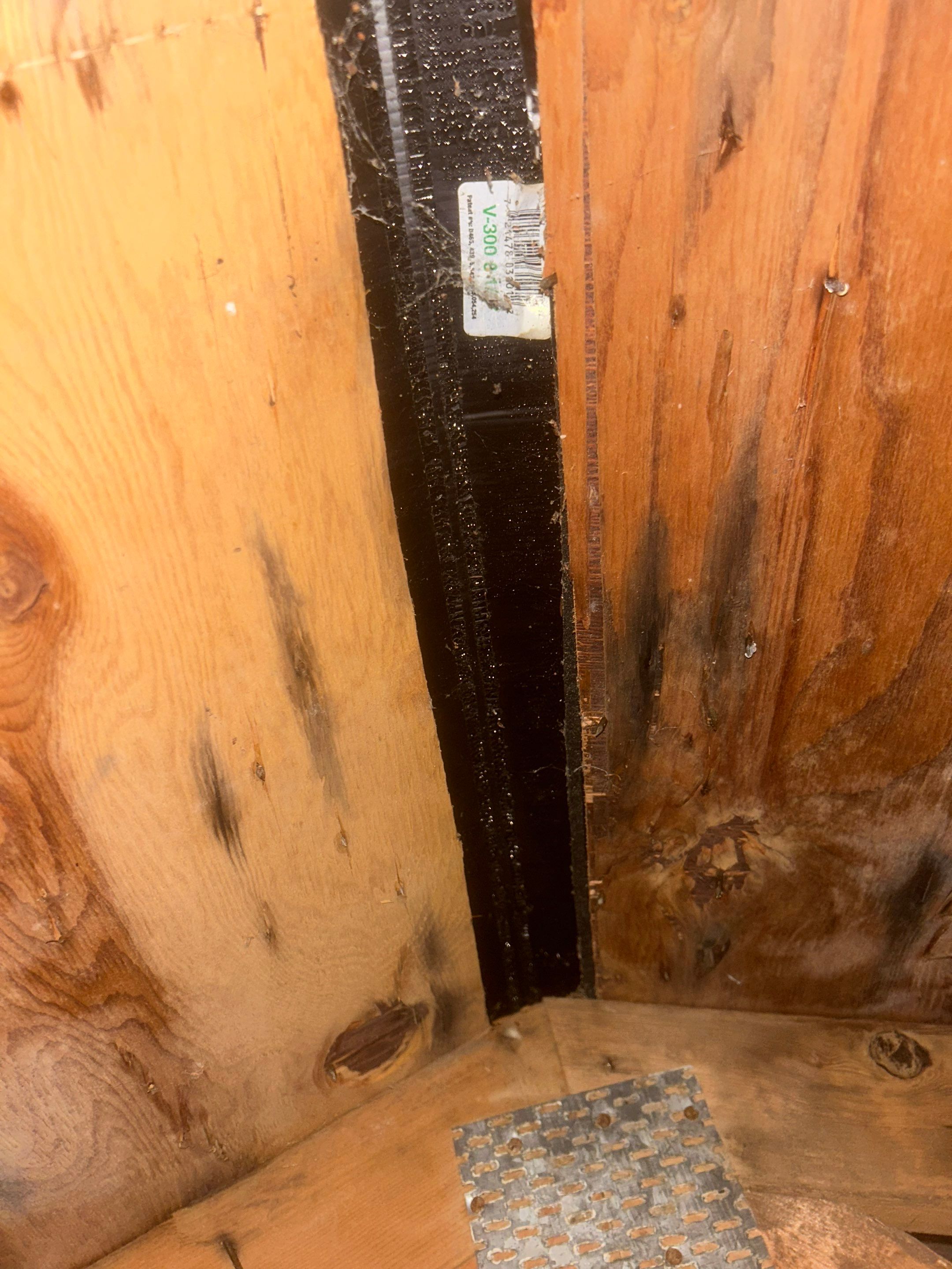 Project in Shoreline by Connolly Construction Company