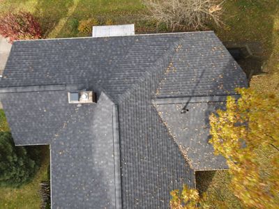 Brand Atlas Pinnacle Color: Pristine Scotchgard Black Drip: Black