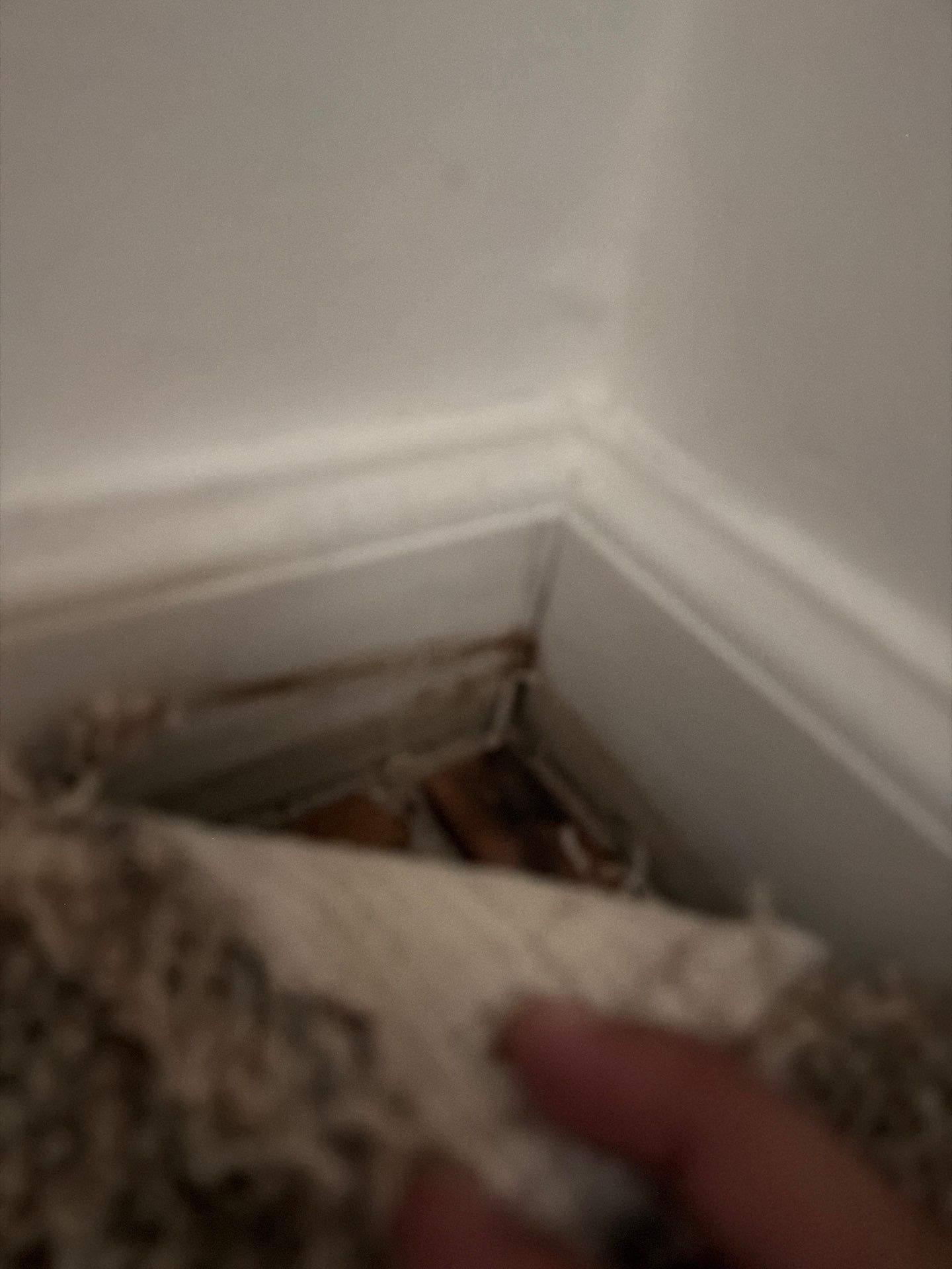 Water Damage Claim in Telford by FLAPA & KeyStone