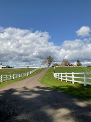Vinyl Fence Wash using Surfactant