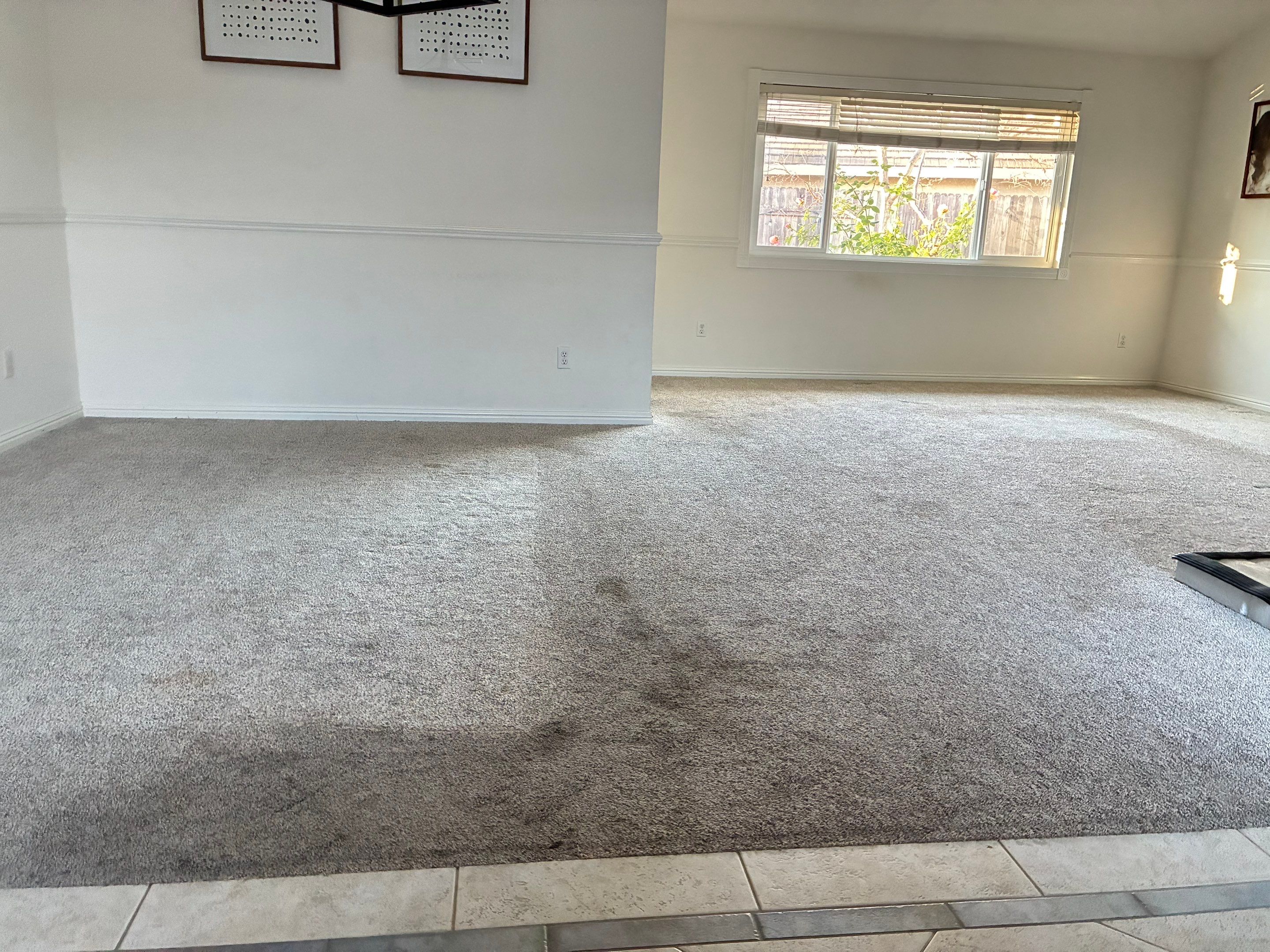 New LVP in Gold River by Footprints Floors South Sacramento