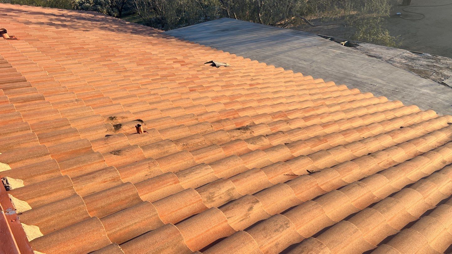 Galvanized Steel Exposed Fastener by Reimagine Roofing