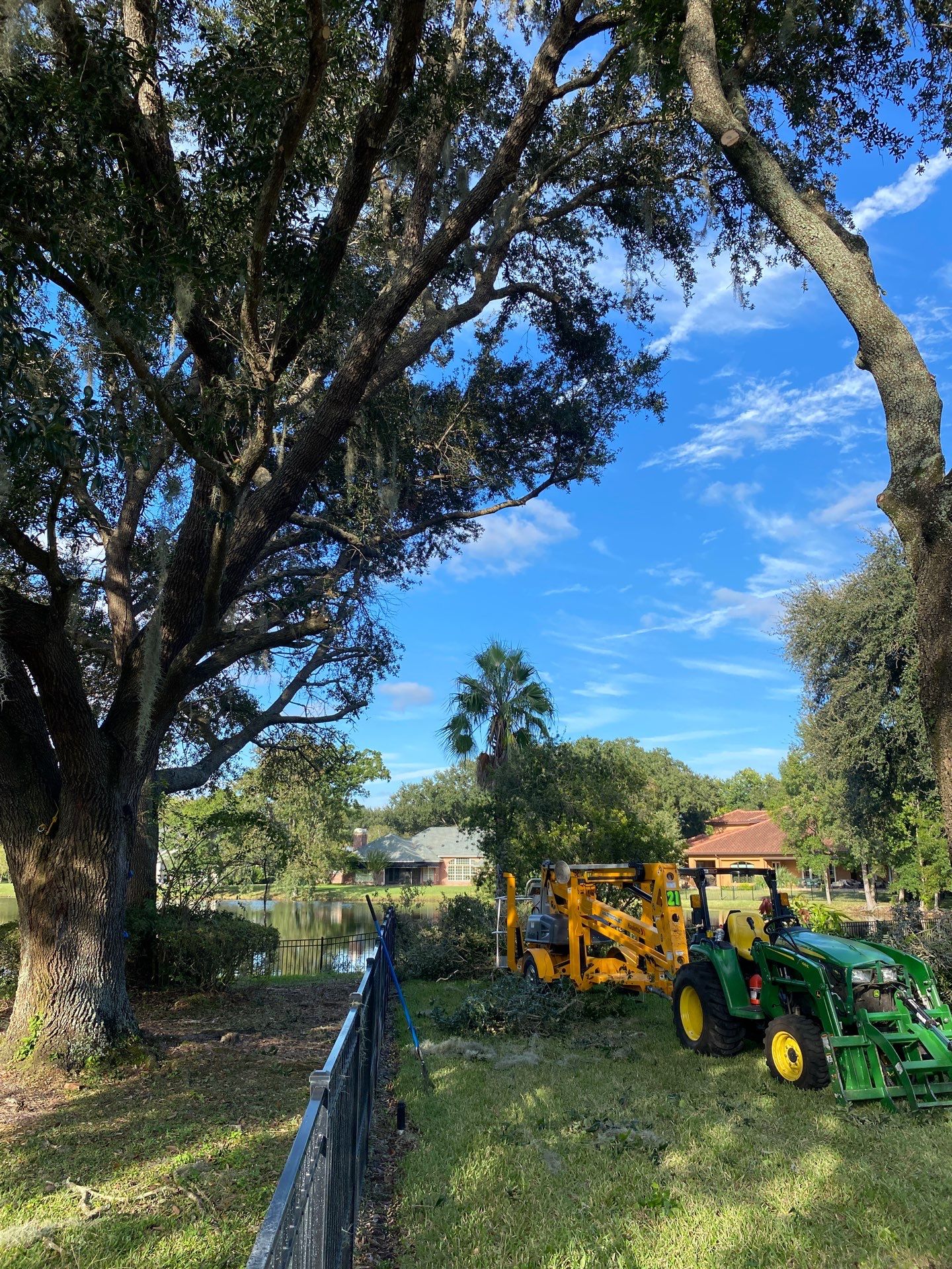 Deerwood | Tree Trimming & Sod Install | Residential by ProGreen Services