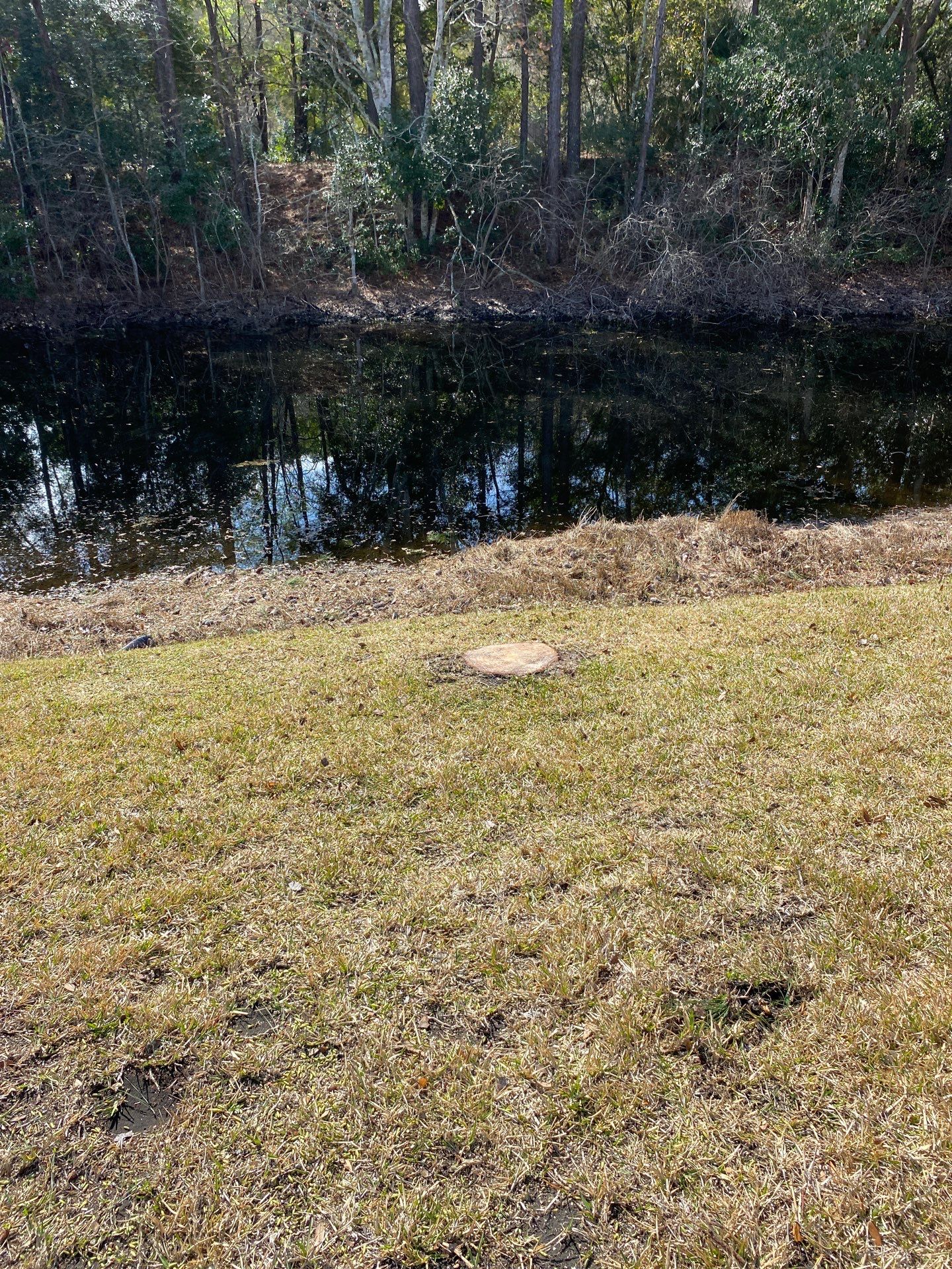 Deerwood Resident | Tree Removal by ProGreen Services