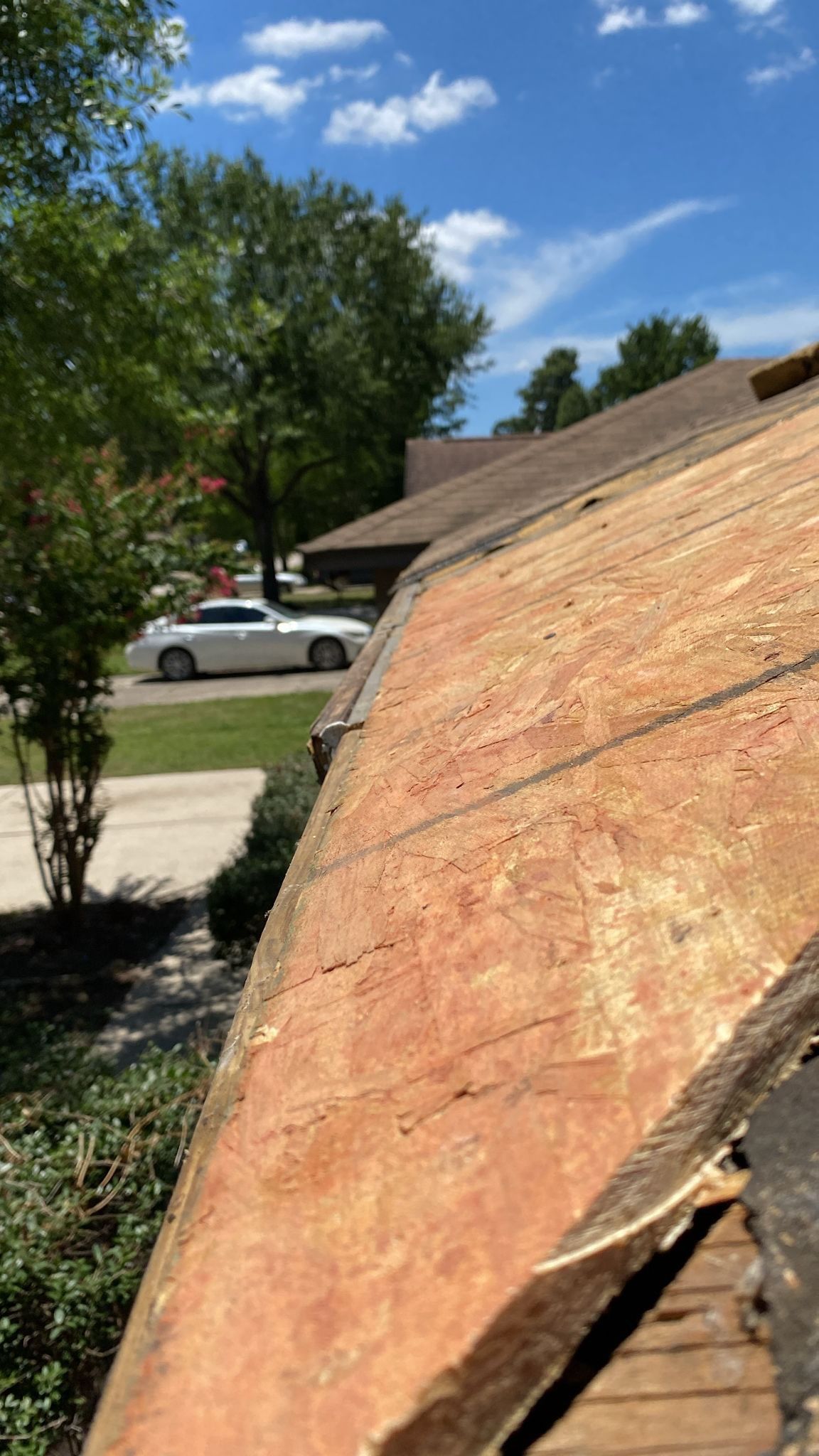 Roof Repair Spring by Roof Repair Company
