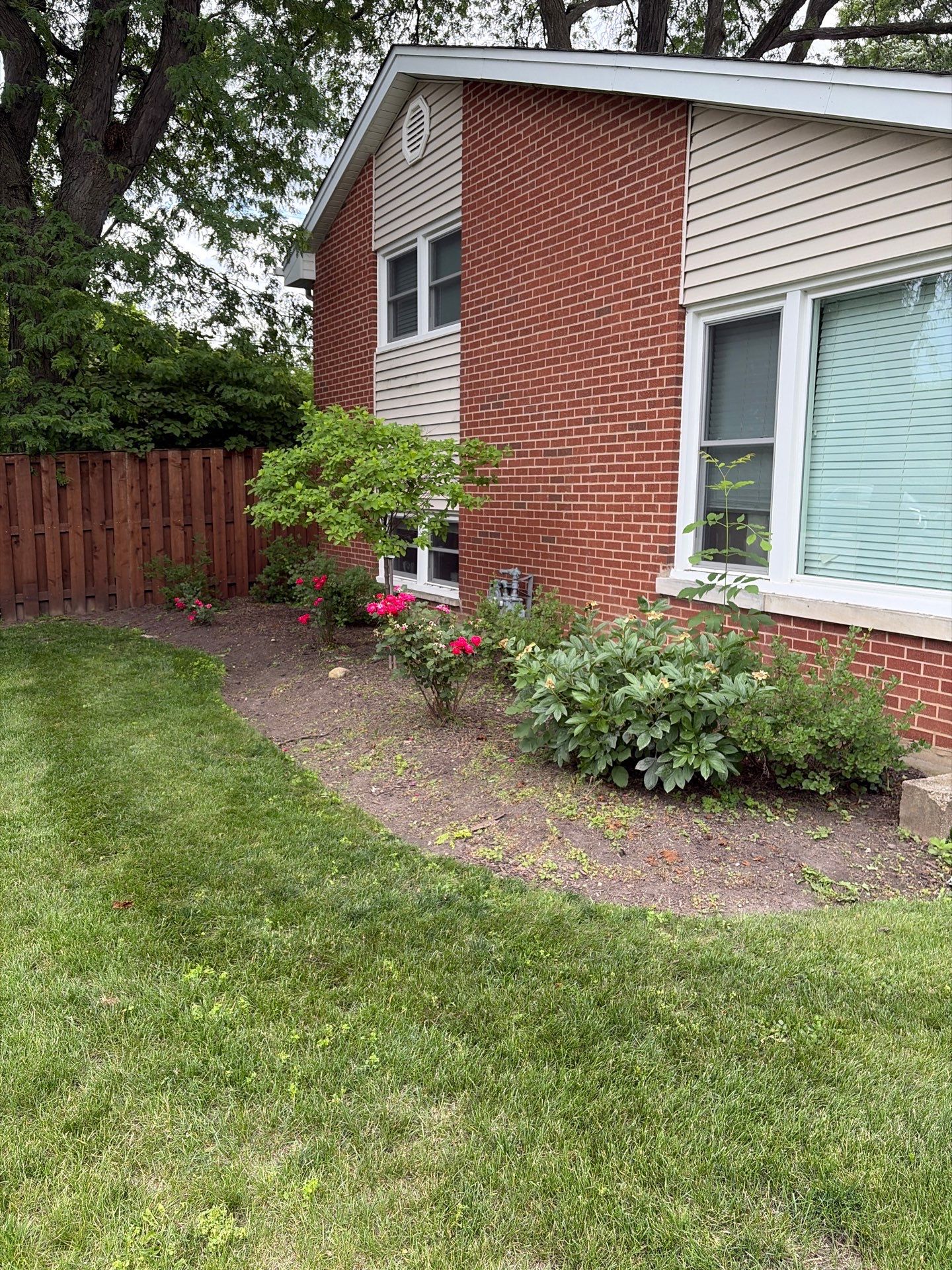 Lauren T. - Arlington Heights, IL by A&N