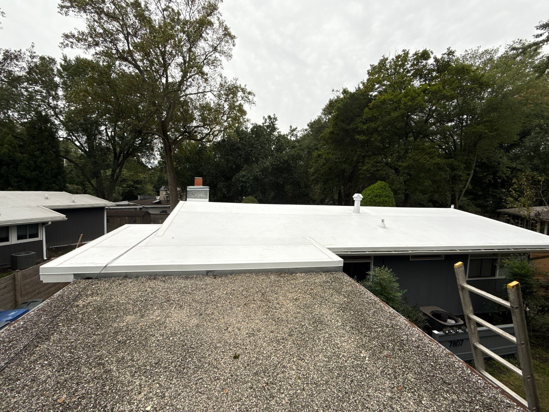 Falls Church :  TPO by RM Banning, Inc.