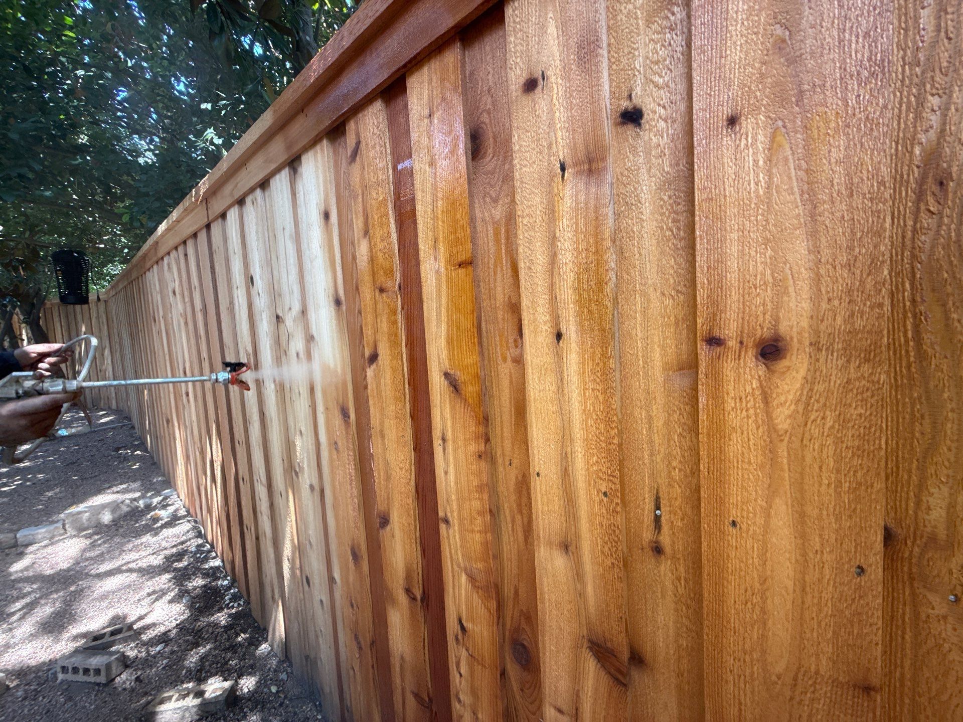 Cedar Privacy Fence Stain in Round Rock by Rhino Home Care