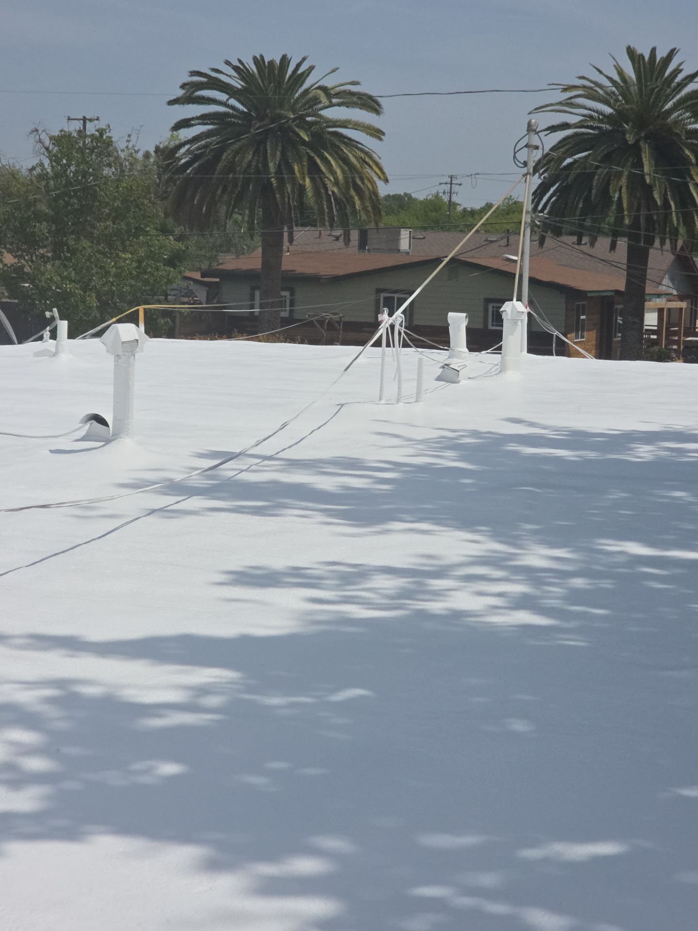 Foam Refurbish using Conklin Benchmark/PUMA XL coatings and spray foam by Straight Edge Roofing Inc