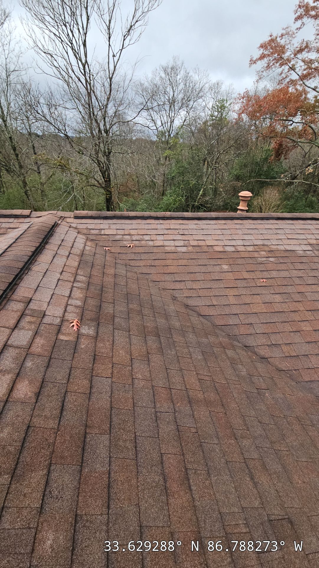 Roof Replacement (Barkwood) and Tree Removal in Birmingham  by The Roofing Dudes