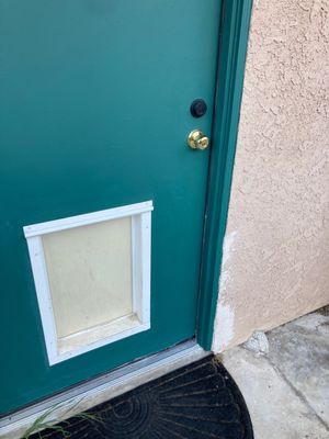 Repair Door Face