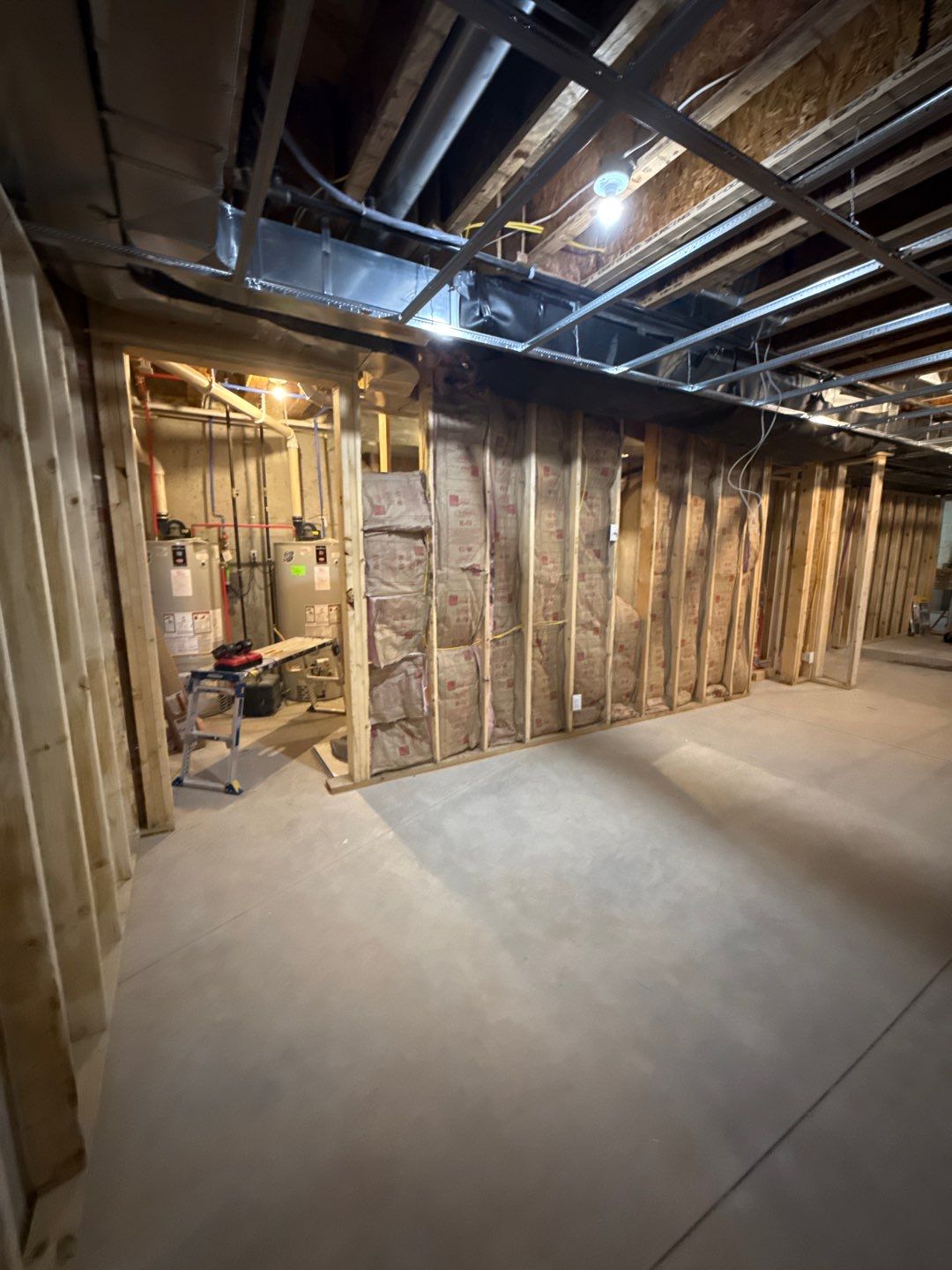 Basement Finishing Project with Home Gym and Sauna in Prospect by Authentic Carpentry