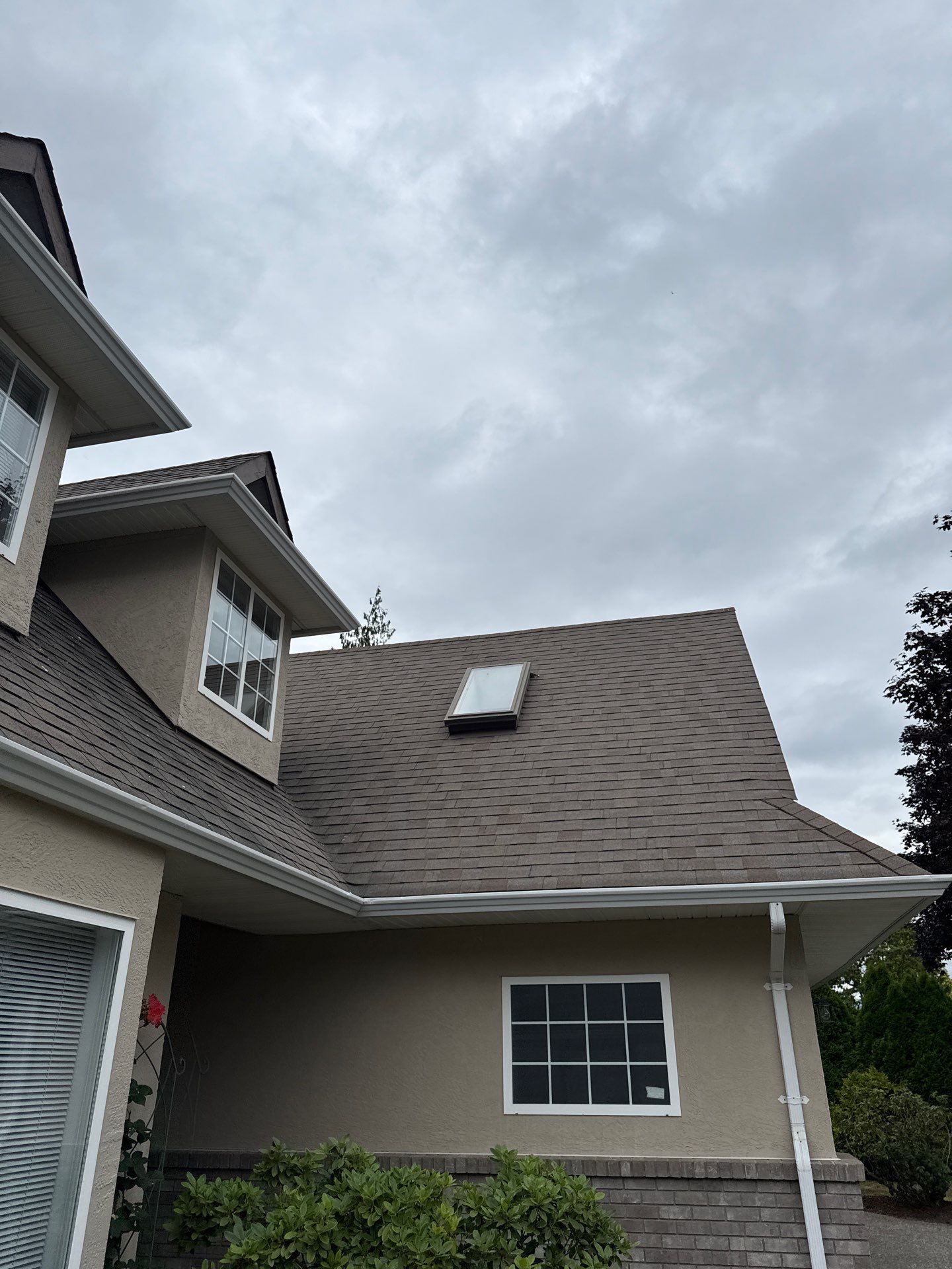 Residential Reroof Shingle - Mission Brown by Top Notch Roofing Inc