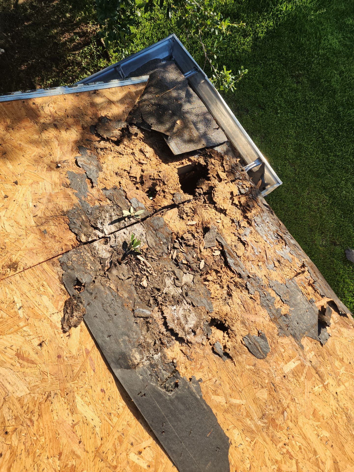 Residential Roof Installation using Owen's Corning Duration (Lifetime) Shingles by Roof Repair Company