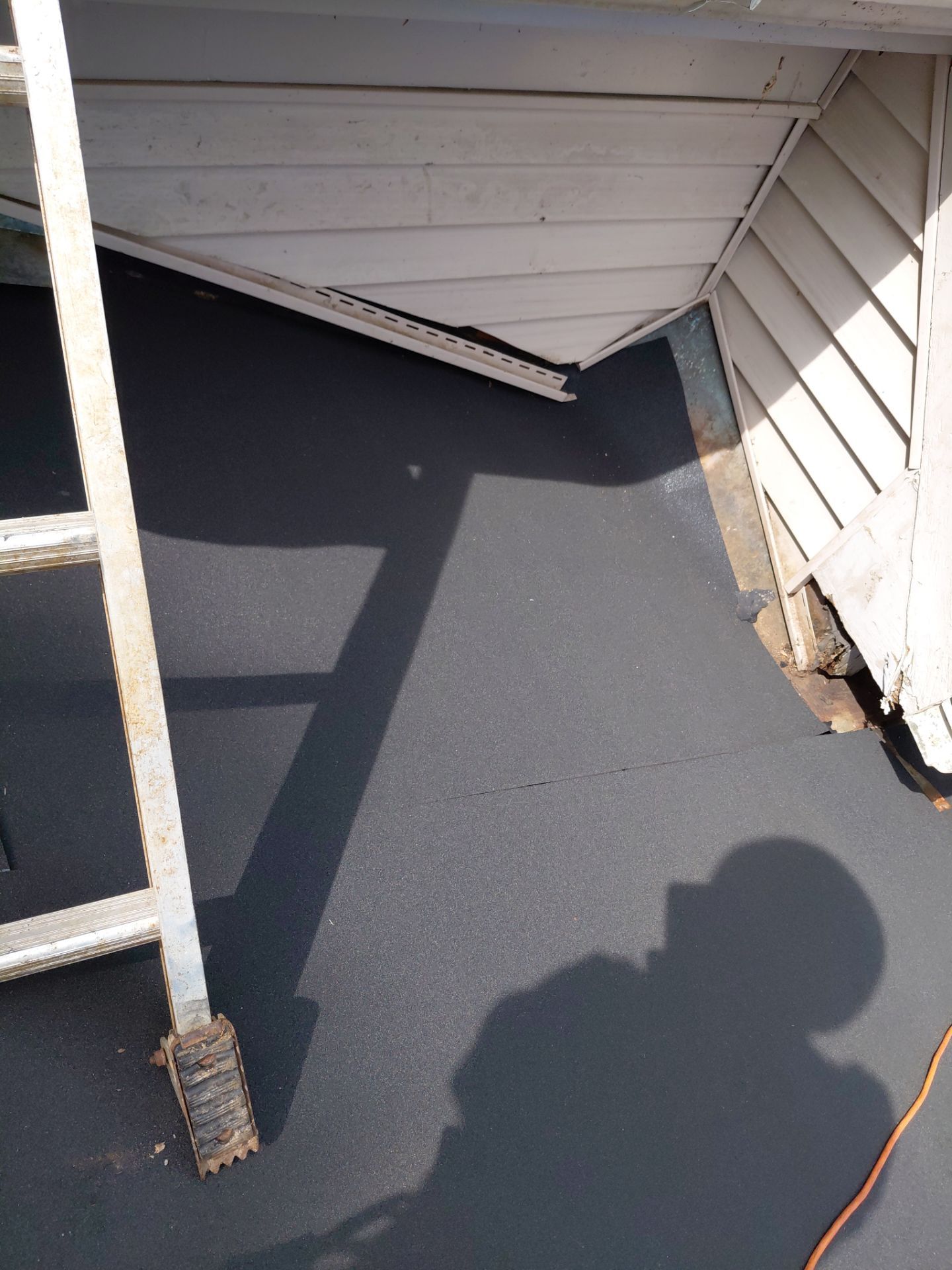 Springfield: Roof Replacement with CertainTeed Landmark Pro in Max Def Evergreen by RM Banning, Inc.