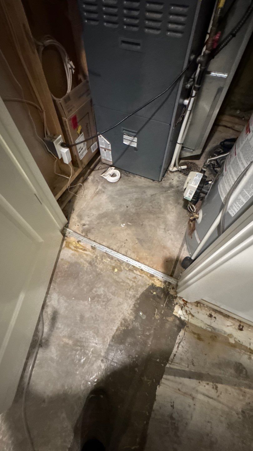 Water Damage Project in Denver by Accountable Home Services
