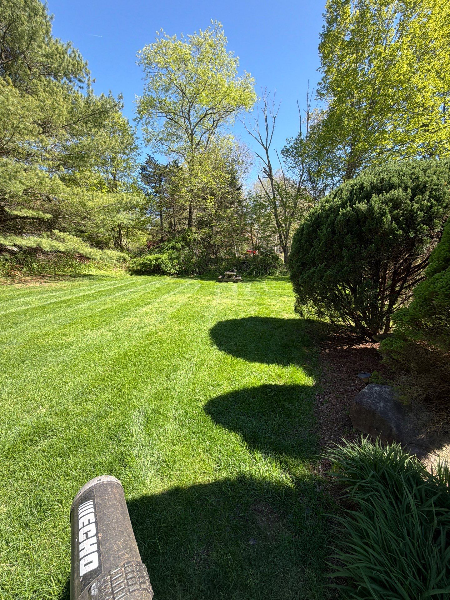 Professional Mowing and Property Cleanup Service in Guilford by Diamond Image LLC