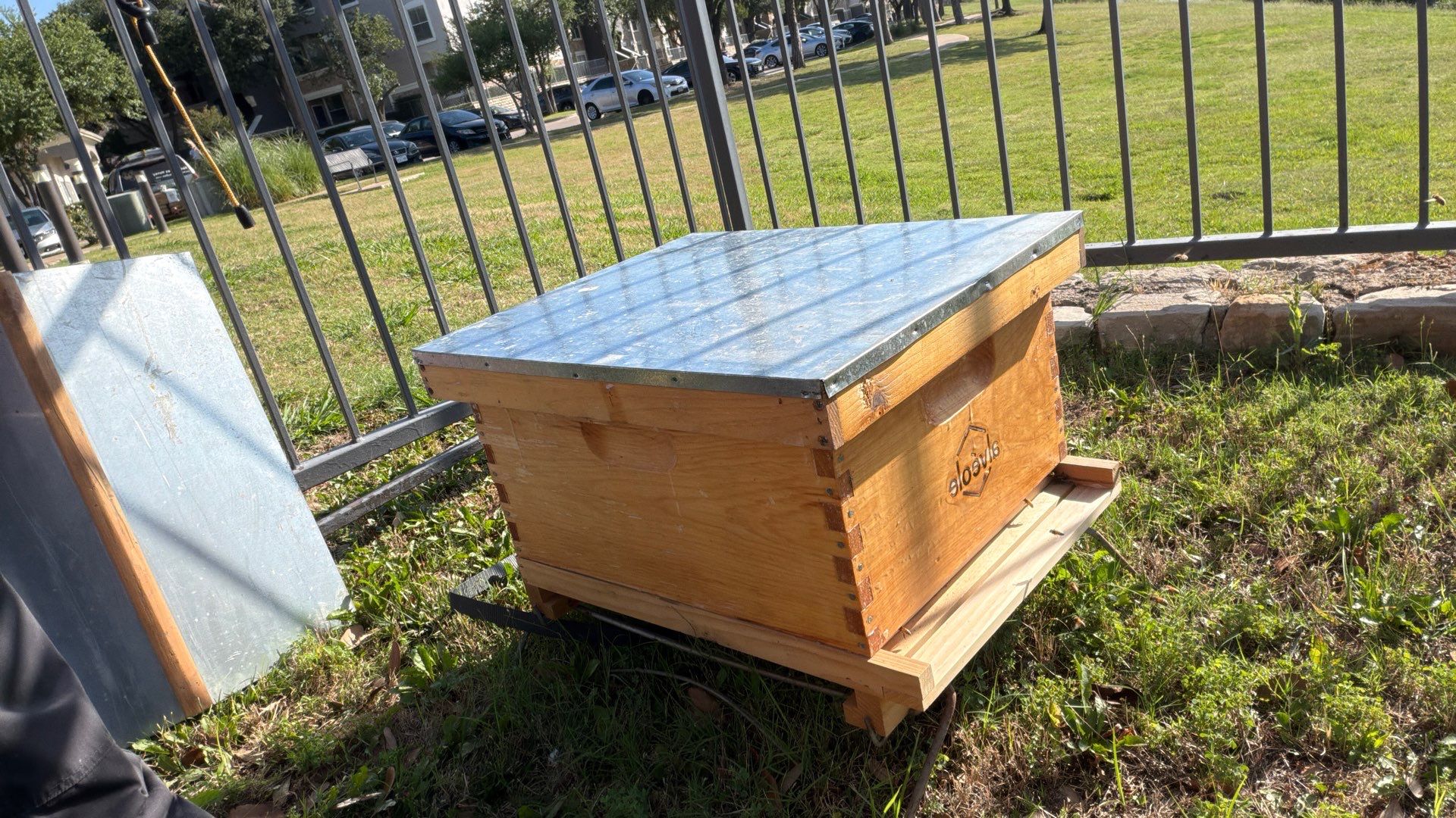 Poolside Bees at Apartment Complex by Rockwall Honey Bee Company