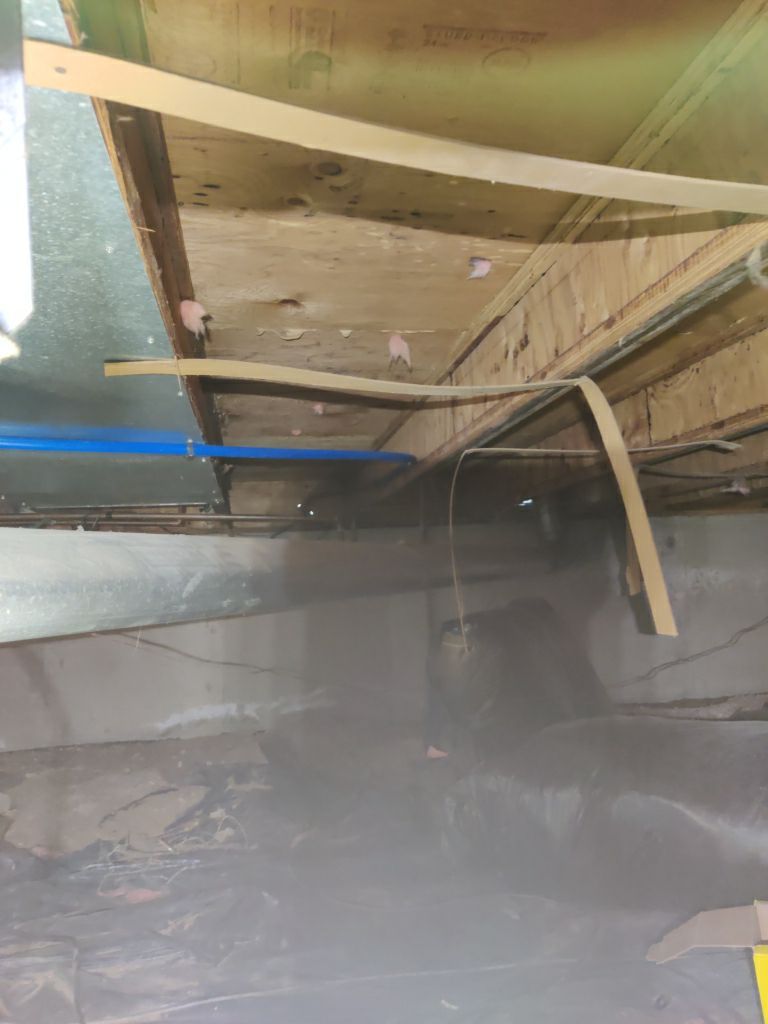 Crawl Space Cleanup  by Accountable Home Services