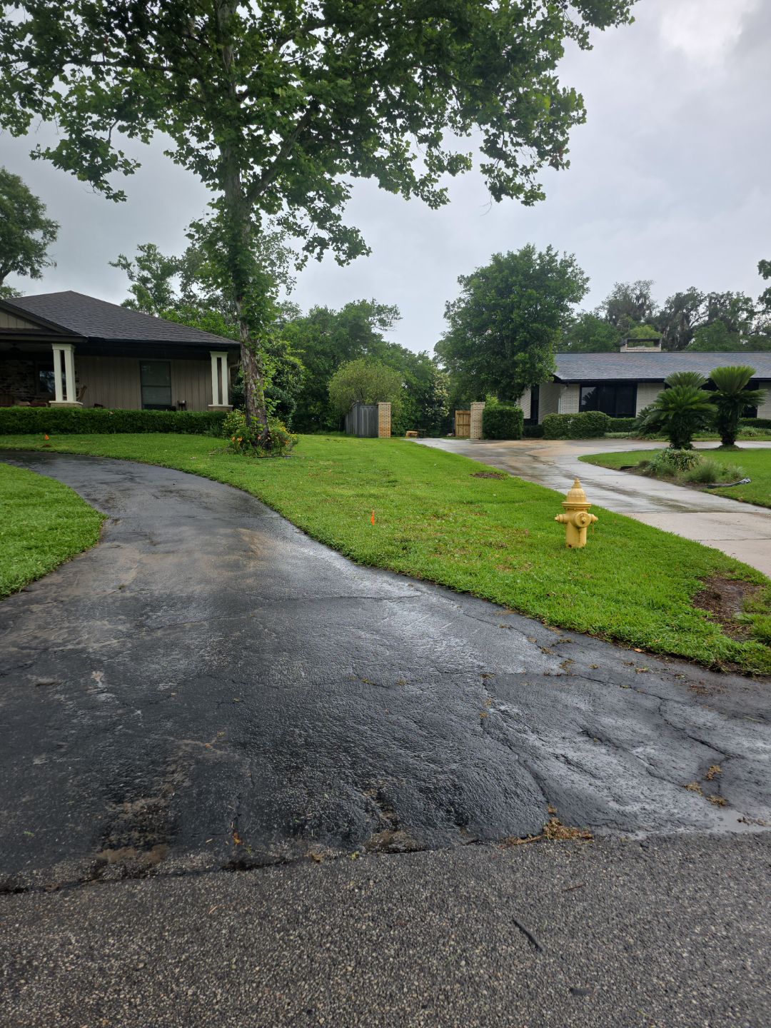 Deerwood Resident | Sod & Plant Install by ProGreen Services