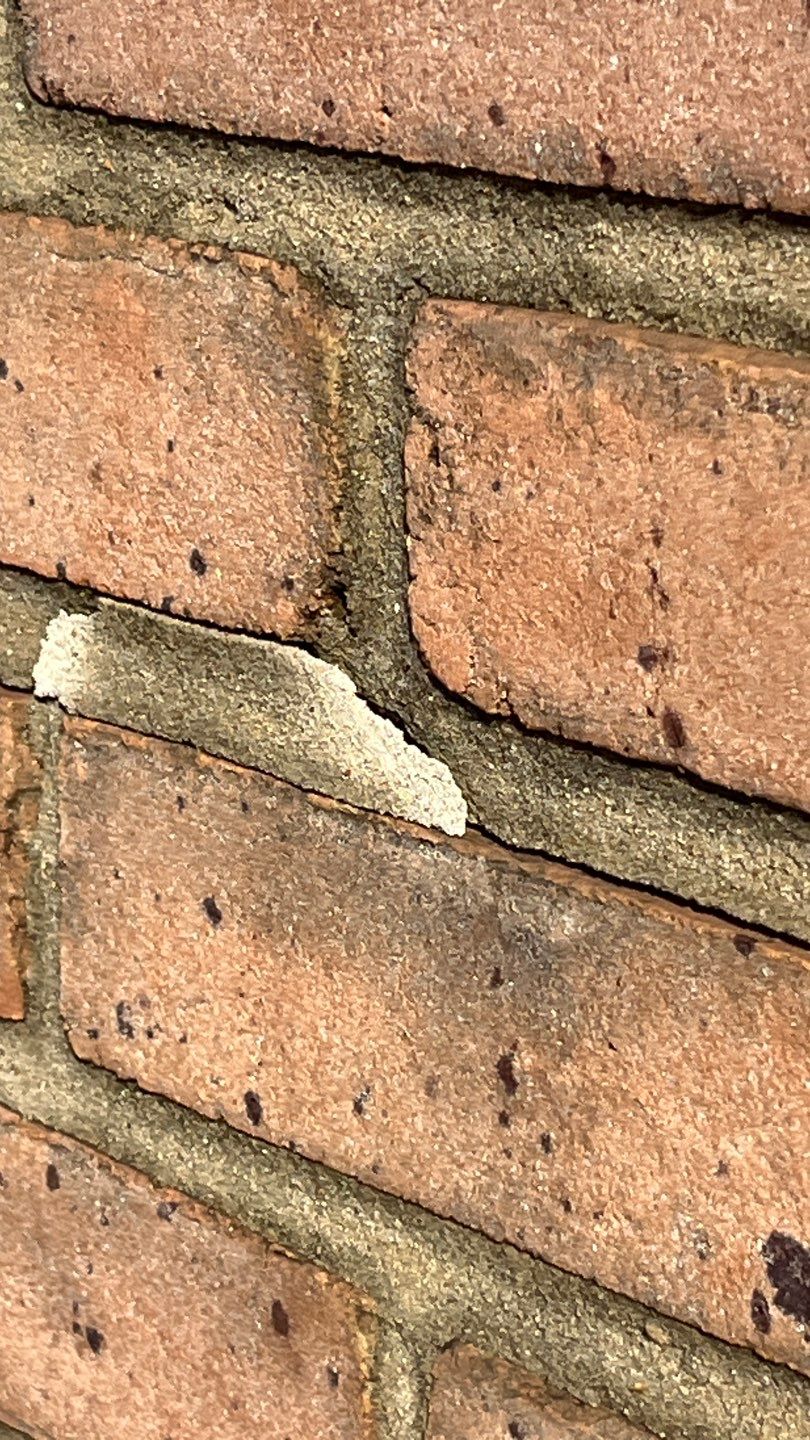 Problems in Paradise  by Bayfront Roofing and Construction