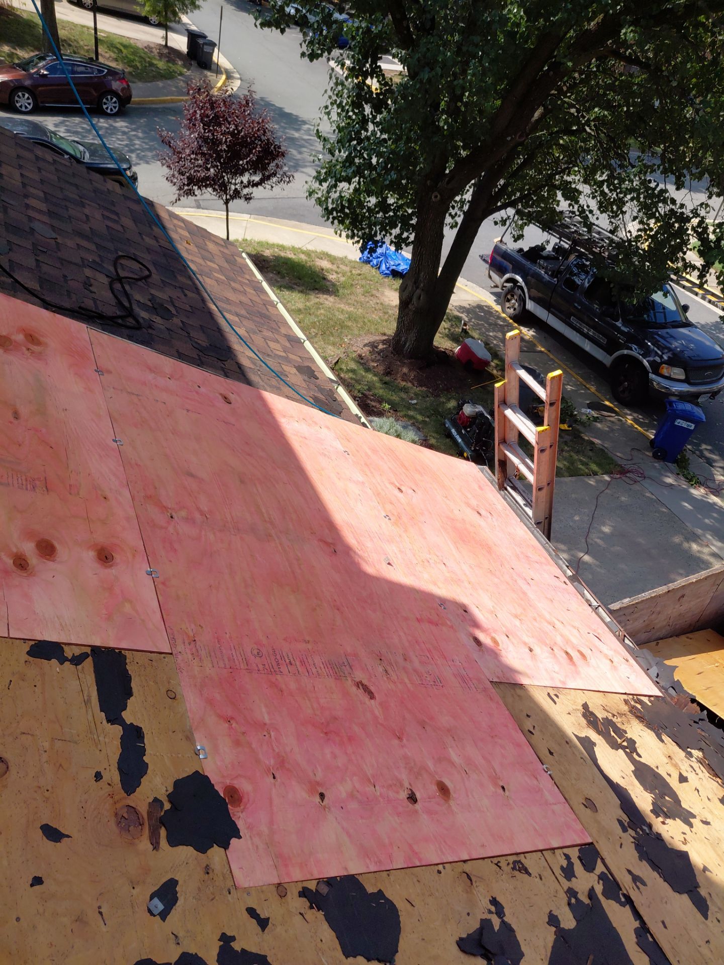 Alexandria: Residential Roof with CertainTeed Landmark Pro in Max Def Burnt Sienna by RM Banning, Inc.