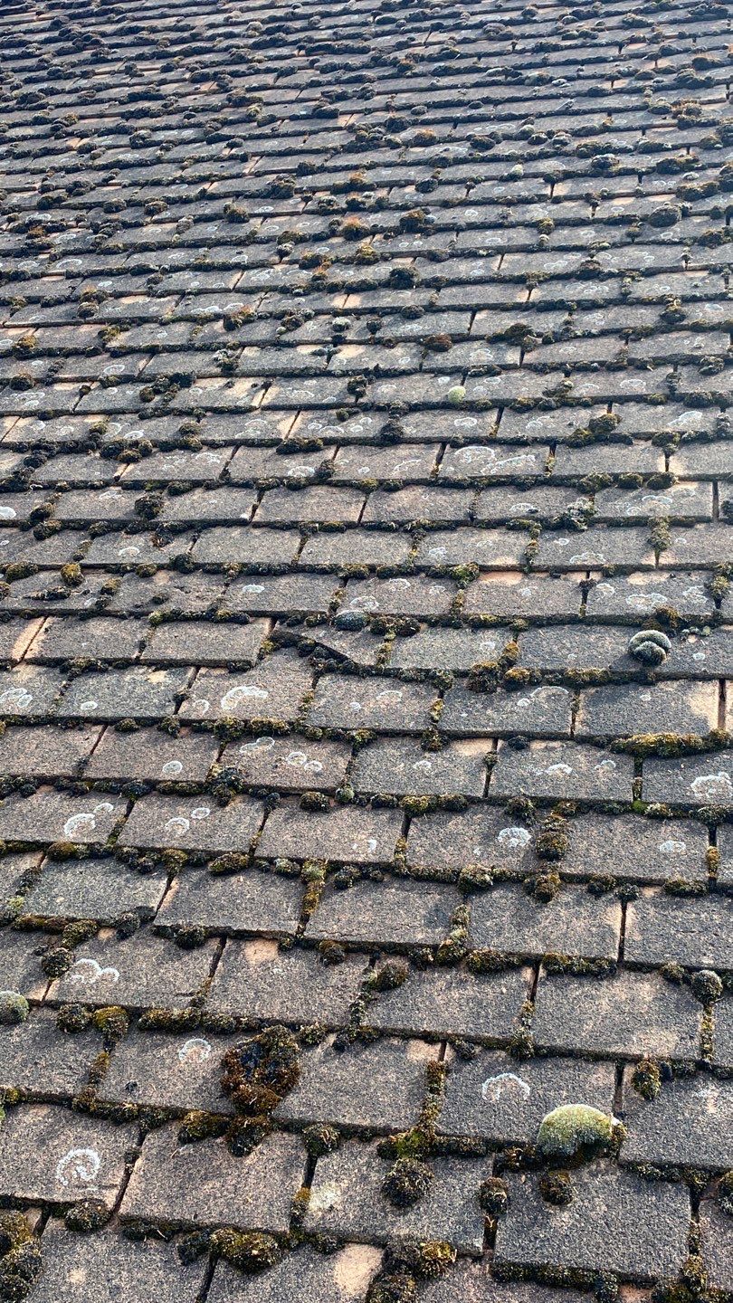 Roof Clean - Moss Removal using Honda 15lpm Low Pressure Washing Machine by Ges Exterior Cleaning ltd